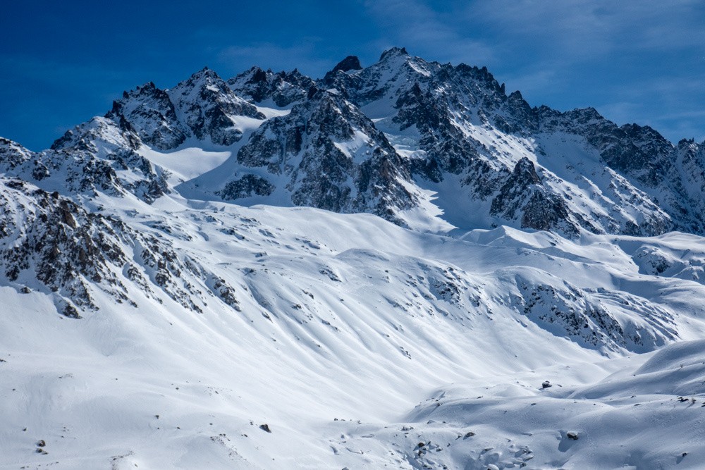 l'Agneau Blanc (hic) & Noir