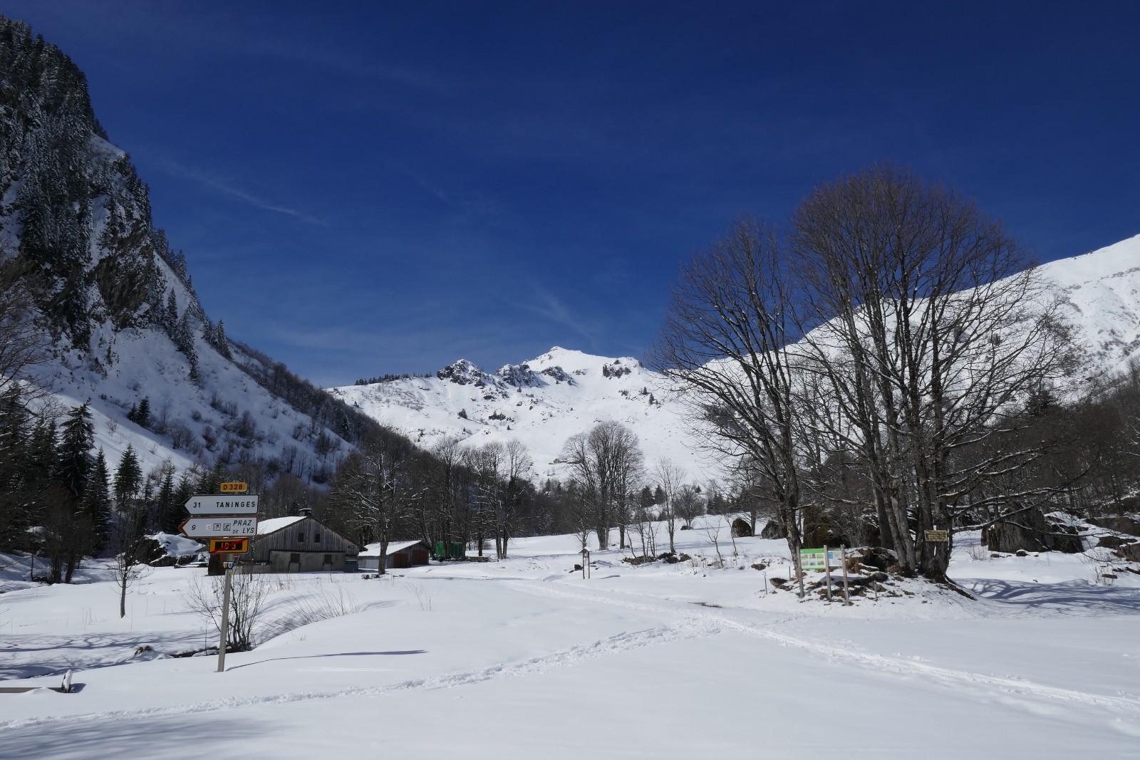 C'est calme au Foron