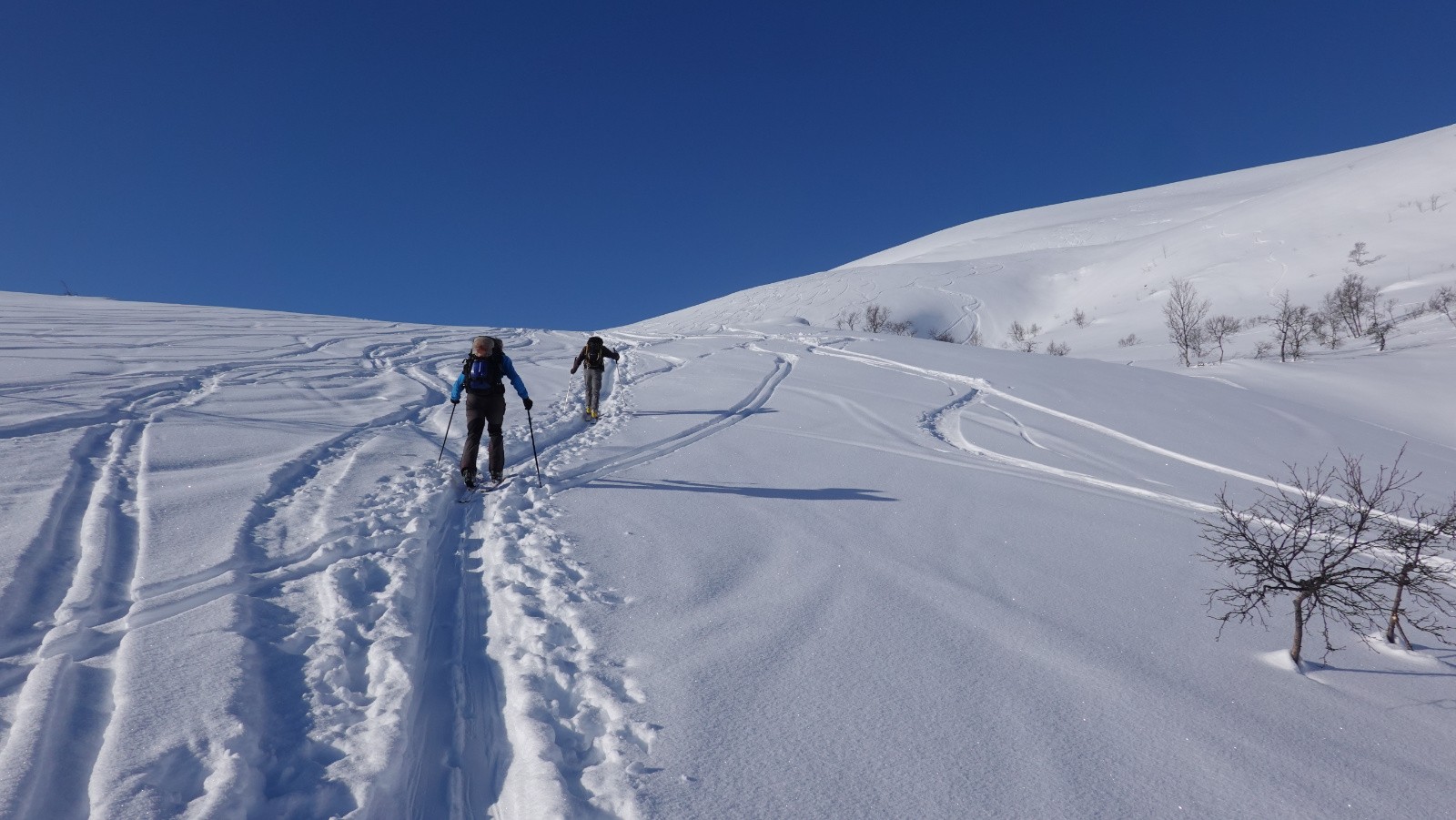 Vers 350m d'altitude