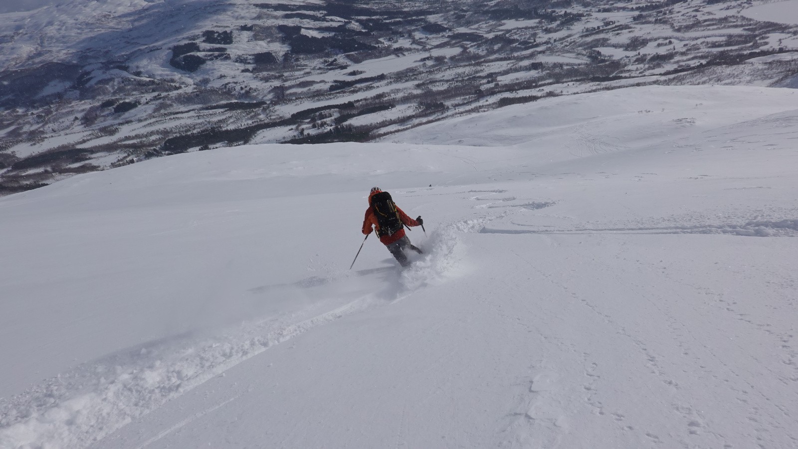 Toujours une excellente poudreuse