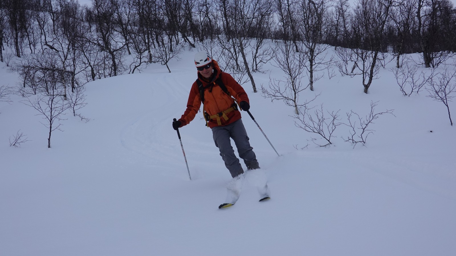 La suite de la descente dans les bouleaux et sous la grisaille