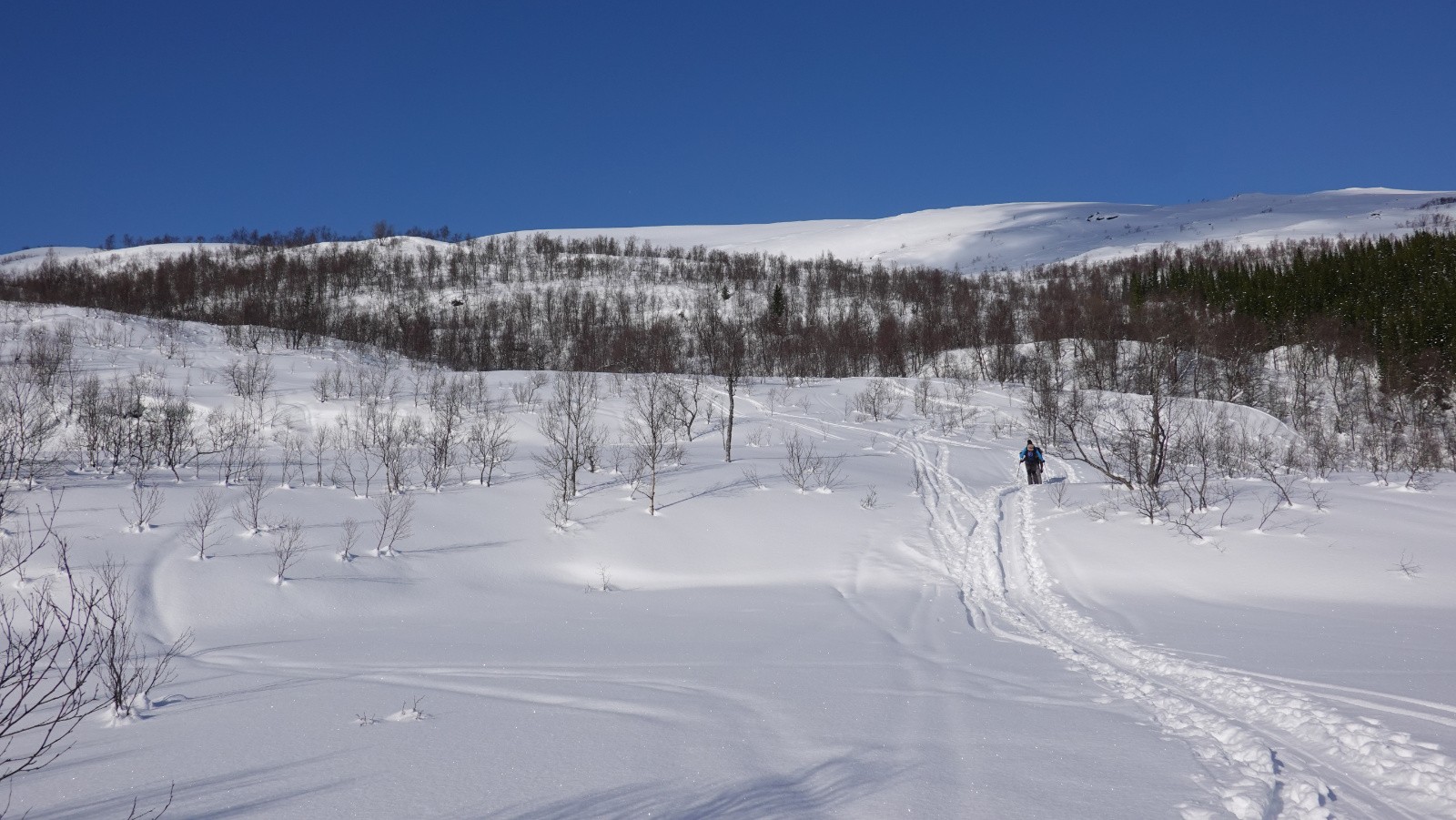 Comme souvent, le début de l'itinéraire se fait dans les bouleaux