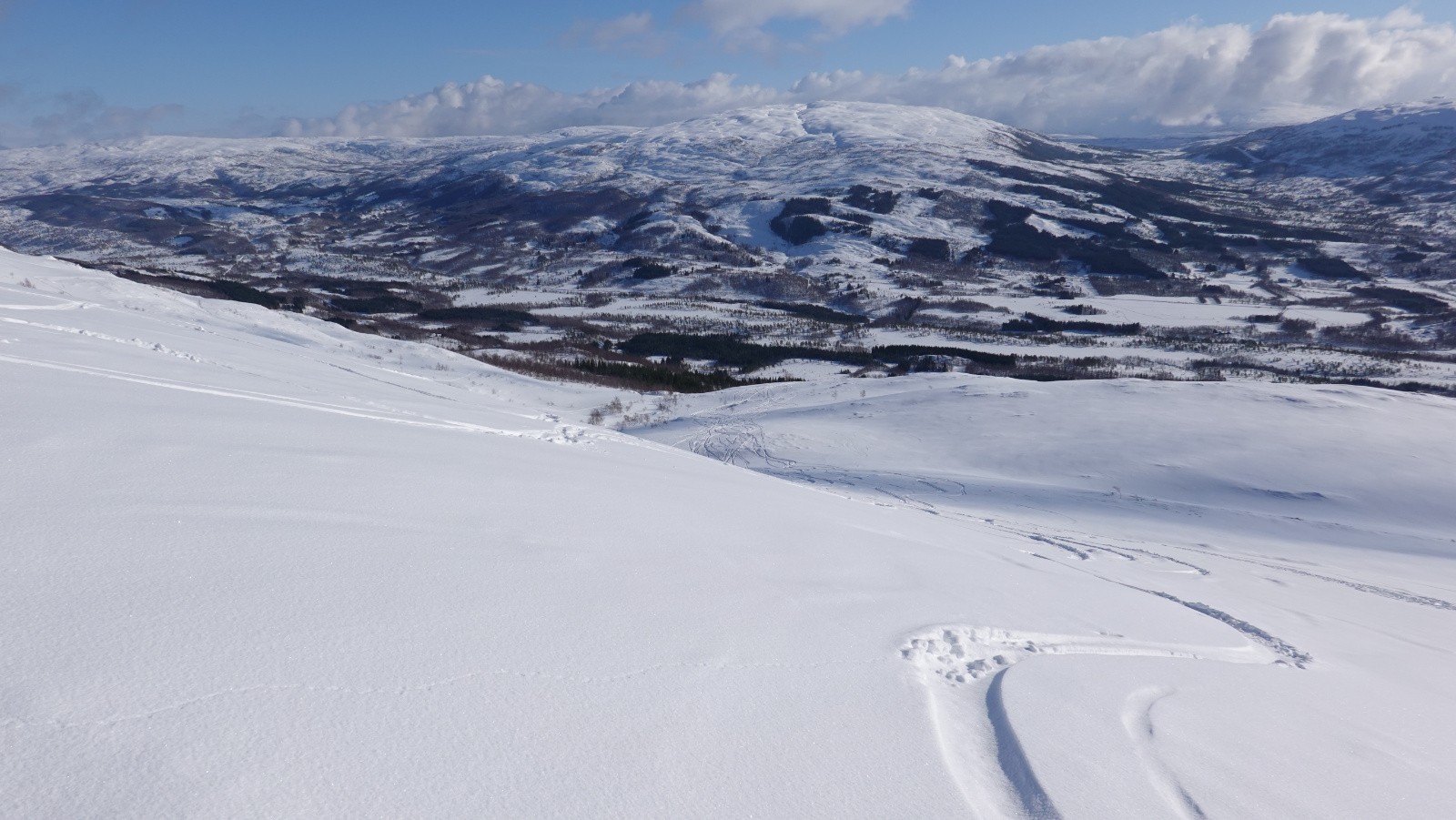 Coup d’œil dans le rétro