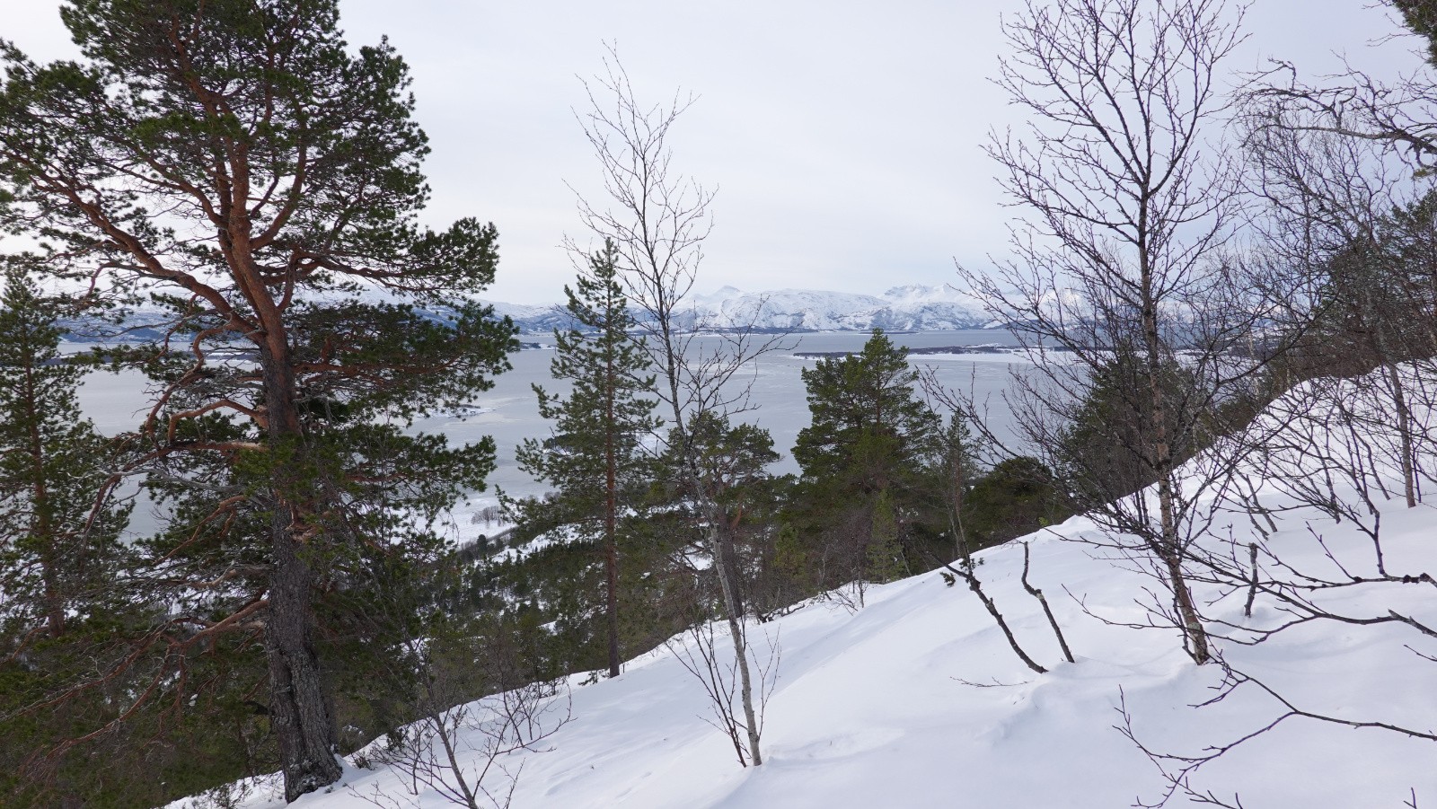 Le Valnesfjorden