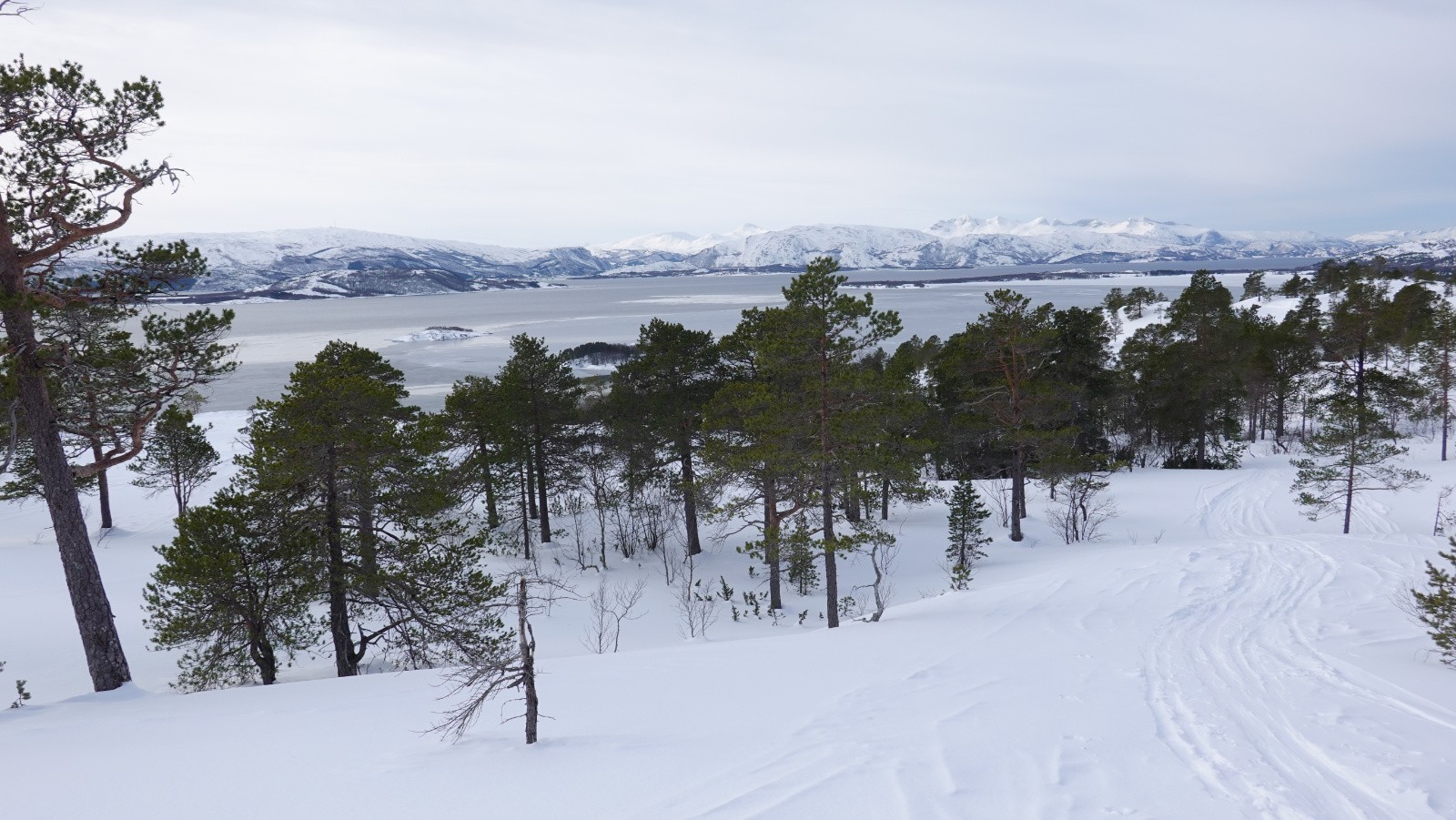 Panorama sur le Valnesfjorden