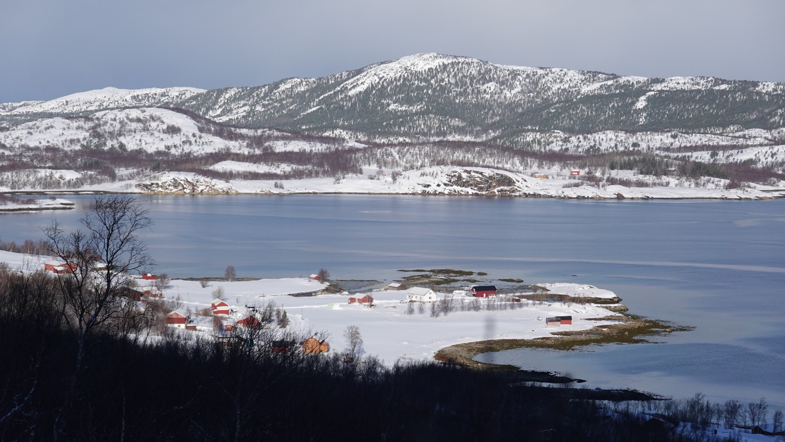 Panorama sur le Fjellvika