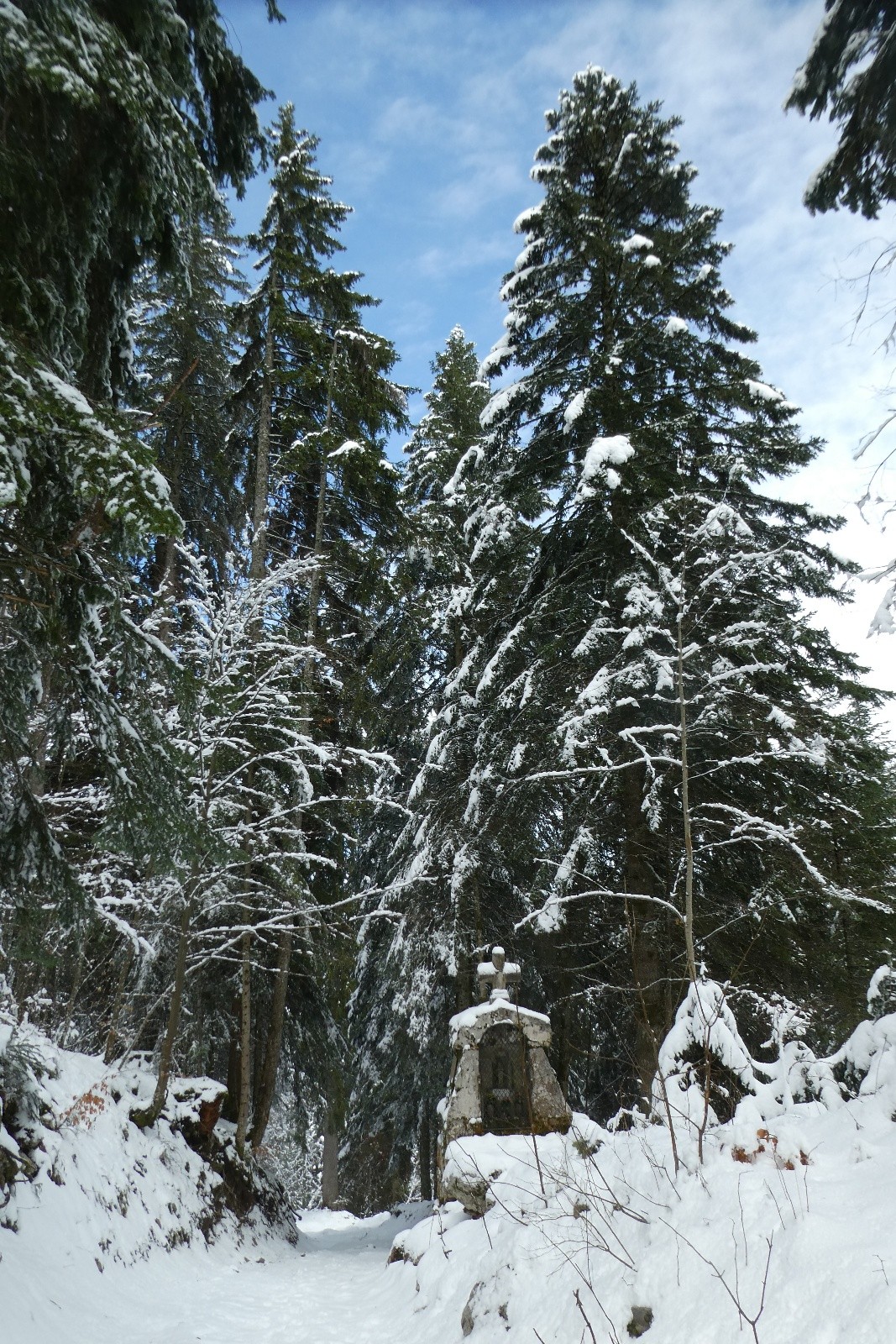 &nbsp;Chemin bien limite pour le ski
