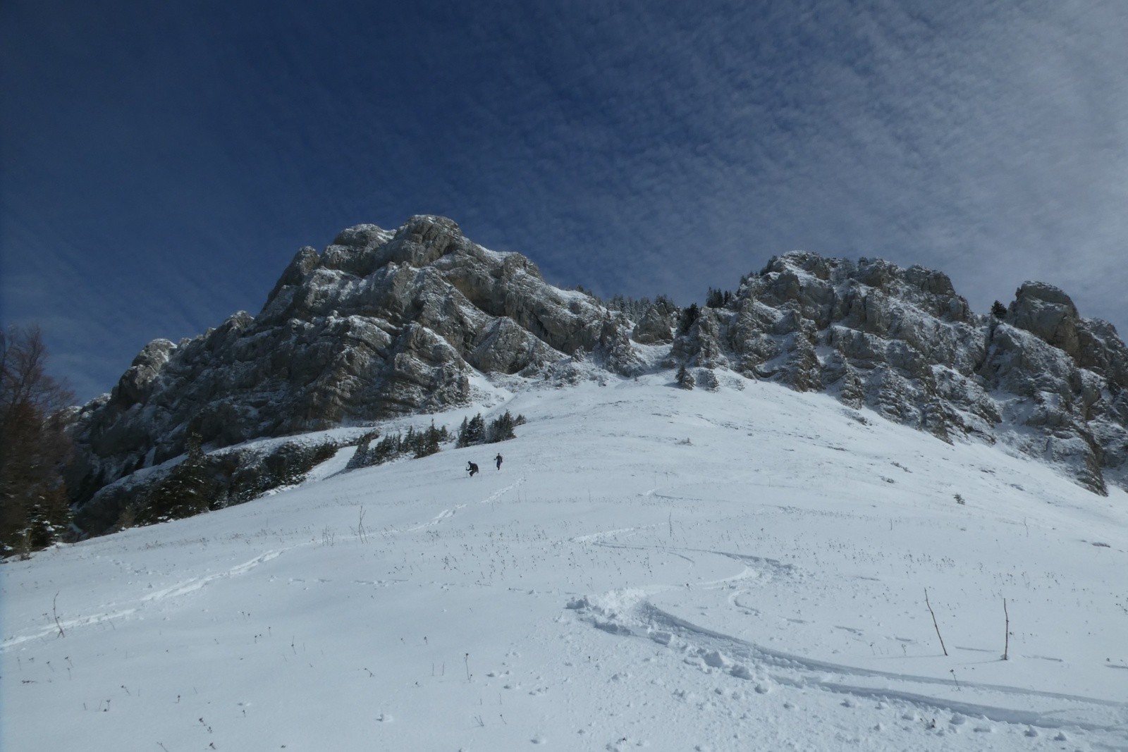 Pas grand chose dans le pré&nbsp;