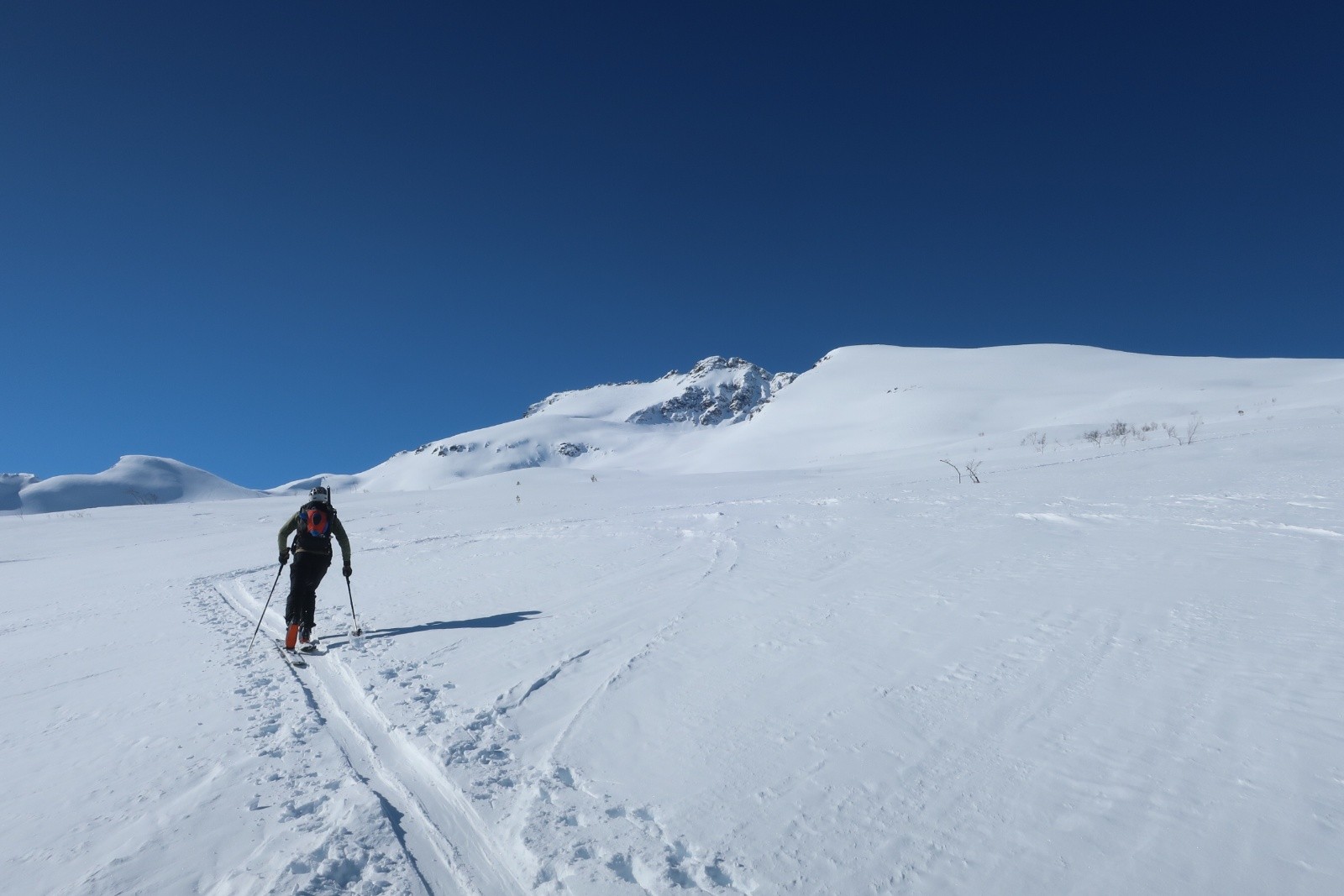 #30 J4 Skjervan en vu J4 Skjervan en vu