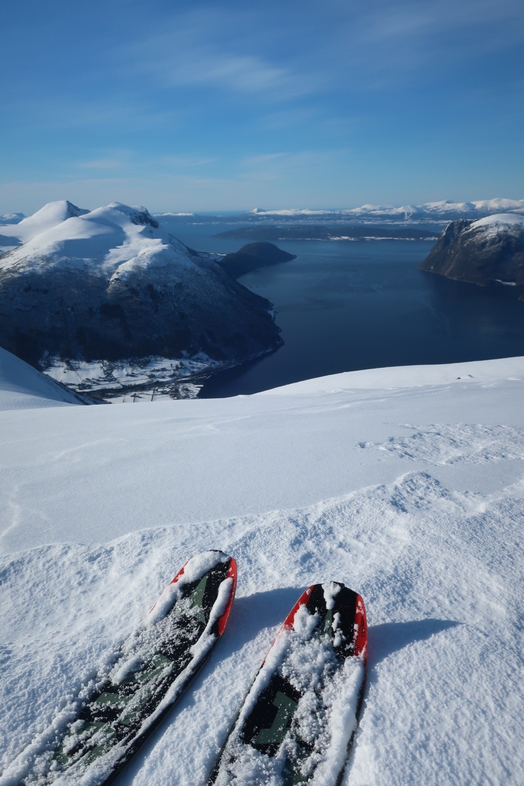 #35 J4 Skarven les spatules dans l J4 Skarven les spatules dans l'eau