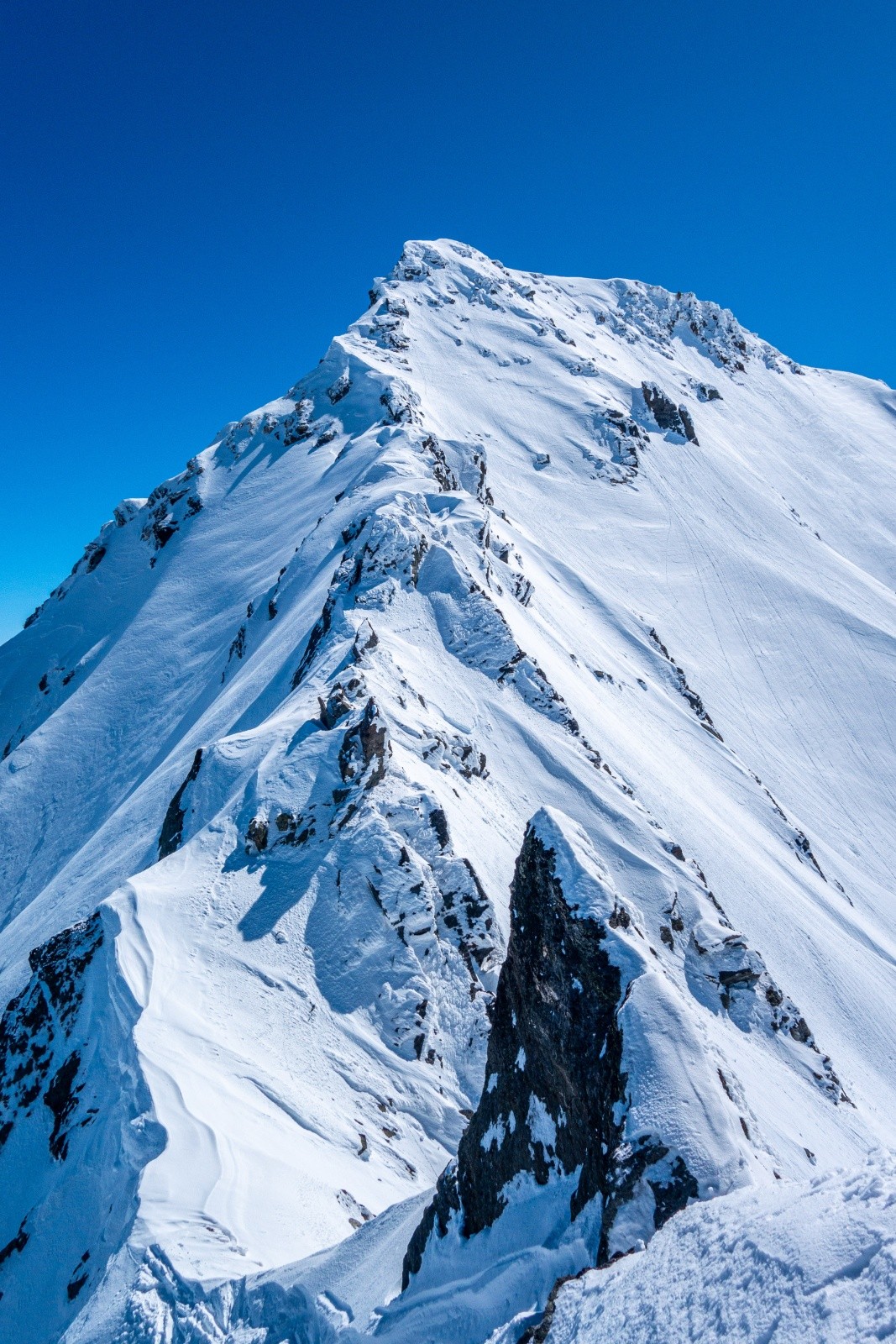 #3 Le vrai sommet de Bellecôte Le vrai sommet de Bellecôte