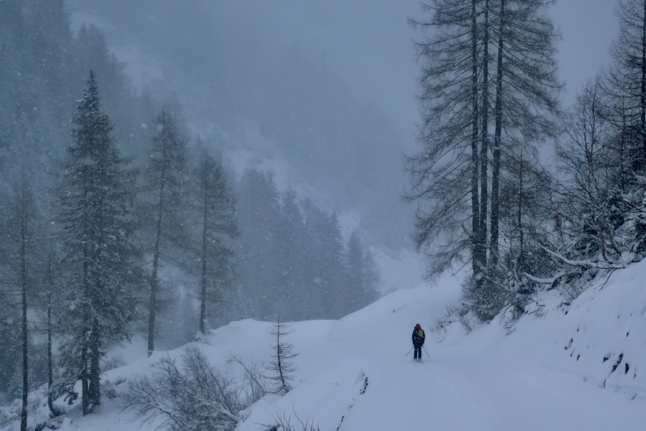 J4 Descente de Heidelberger Hutte dans la foret vers Ischgl