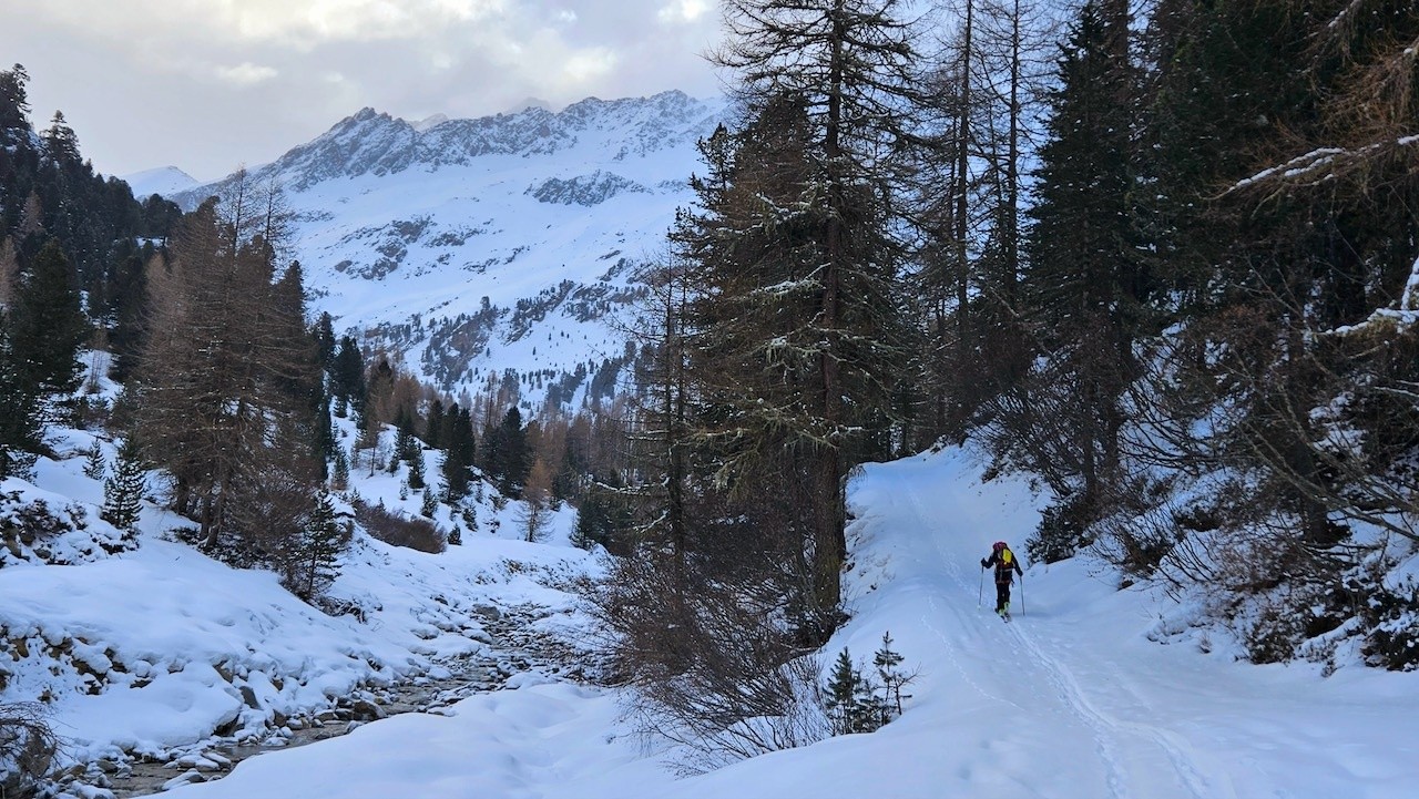 J5 Un peu au dessus de Melago dans la foret