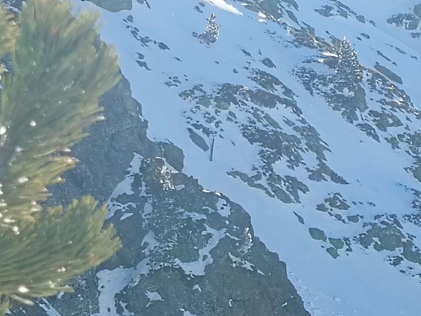 &nbsp;C'est toi là-bas? T'es sur ?