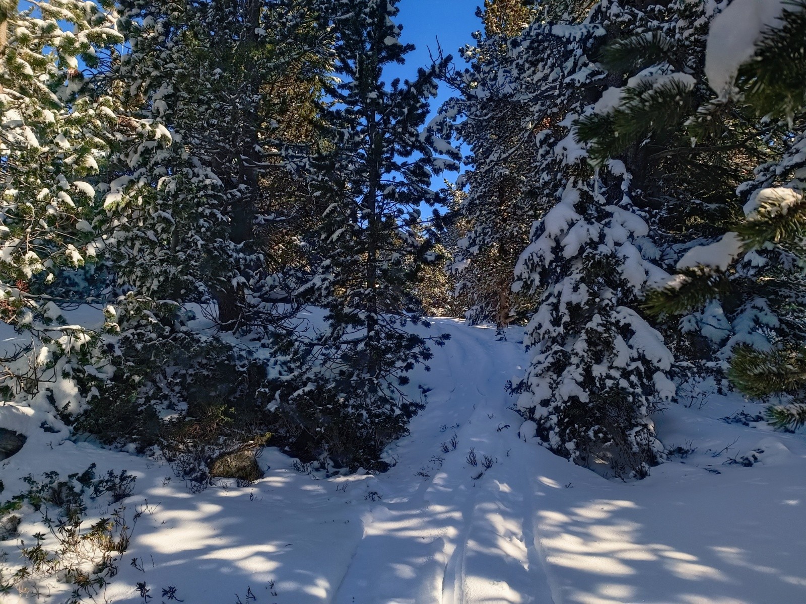 Eh ben si il y a une trace...