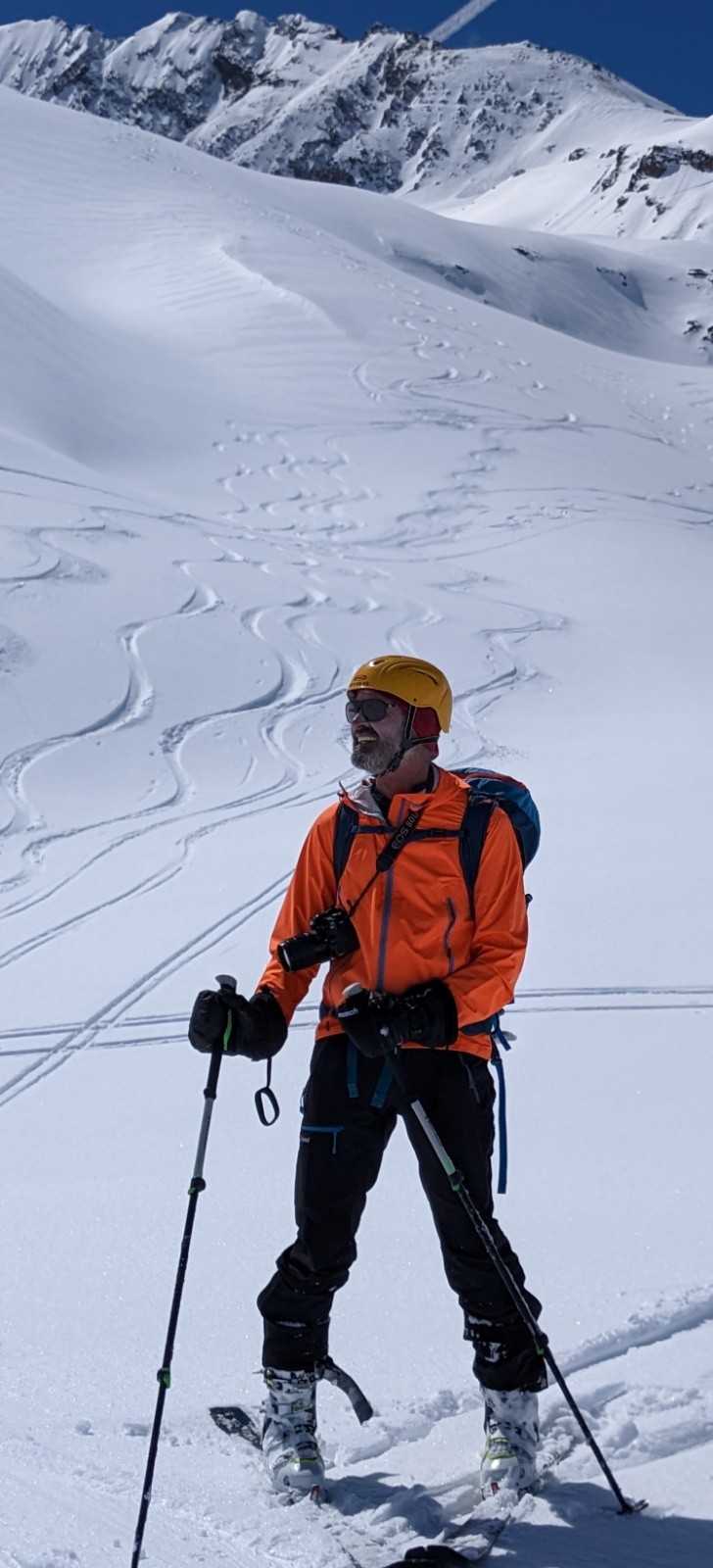 #8 L L'ours des Barmes...