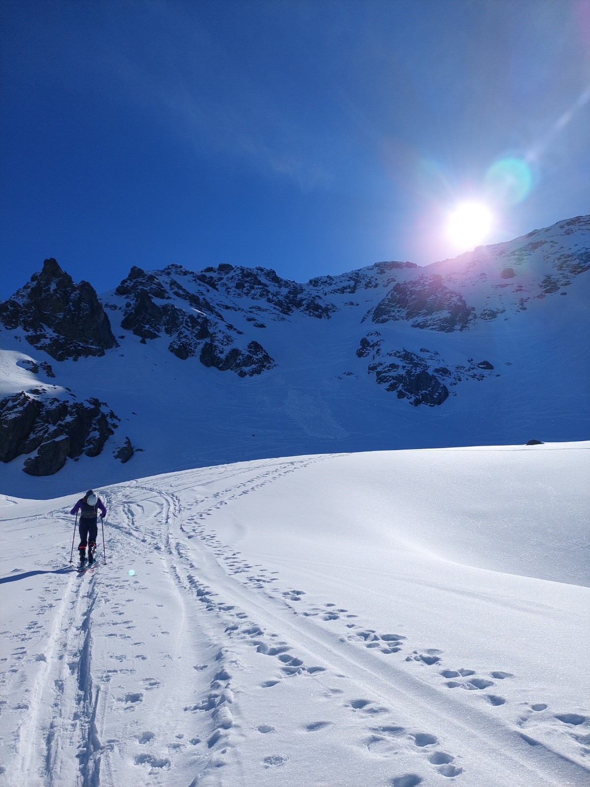 La coulée sous la cime&nbsp;