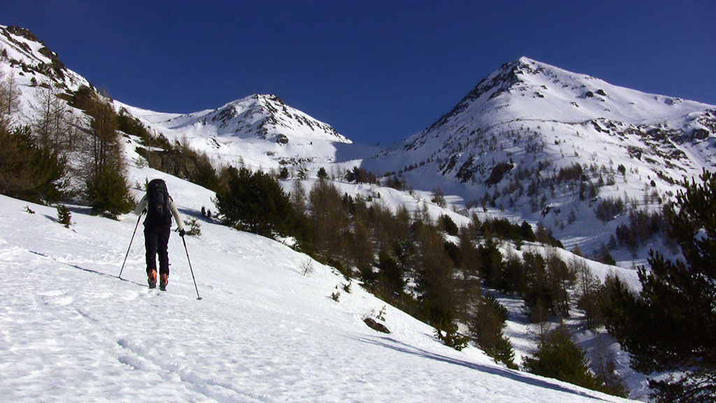 Le haut du vallon de Douans : Vallon au centre, montée au pas de Barbacane, Vallon à gauche montée directe au sommet.