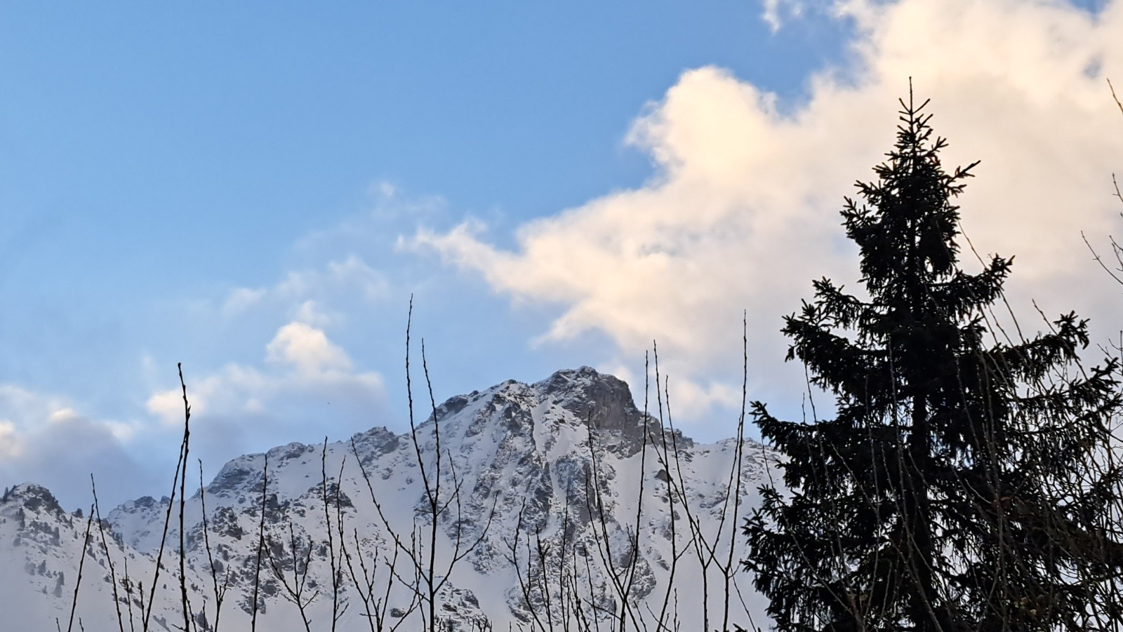 Premières éclaircies