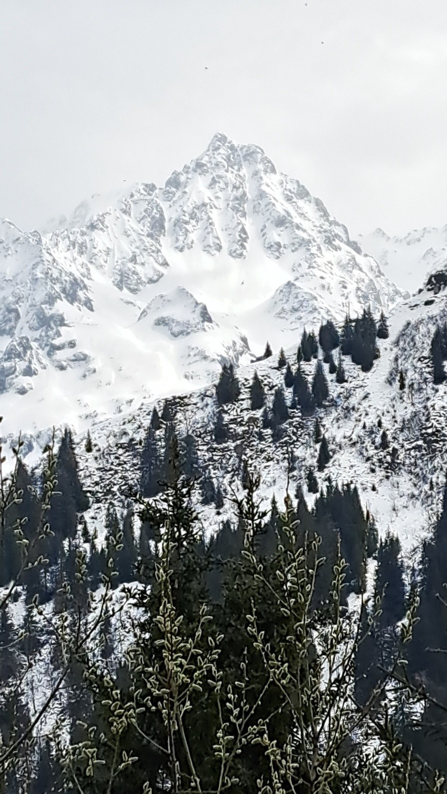 La photo de la veille qui m'a inspiré, merci Pollo !!! 