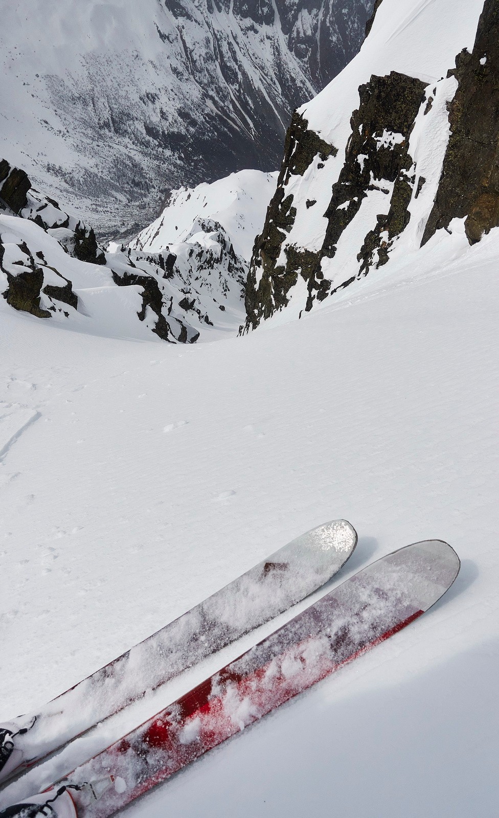 Attaque de la croûtée lisse, banzaï !!!