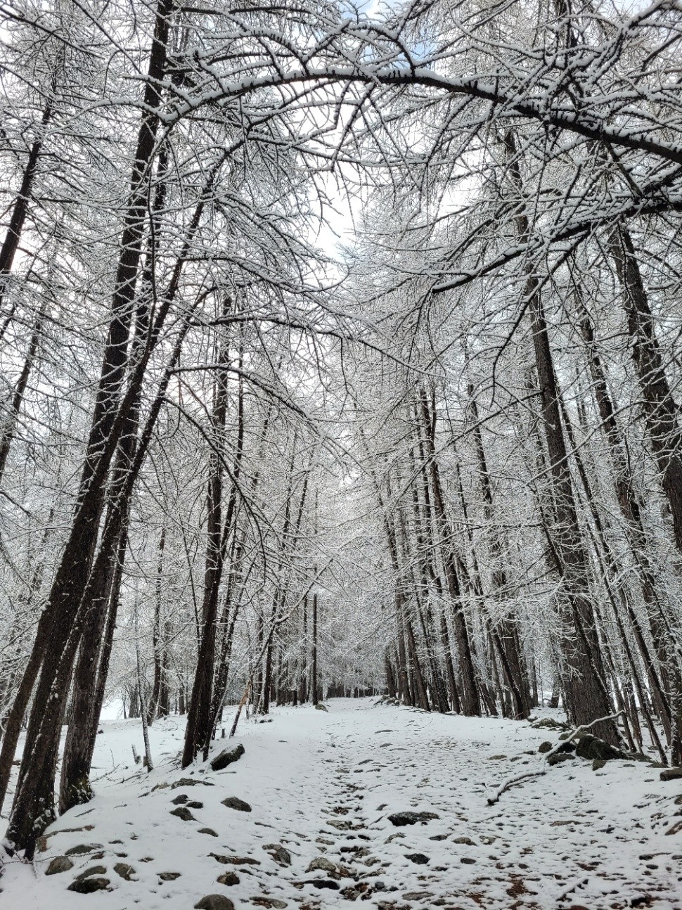 &nbsp;J6 : ambiance hivernale au départ de Maljasset