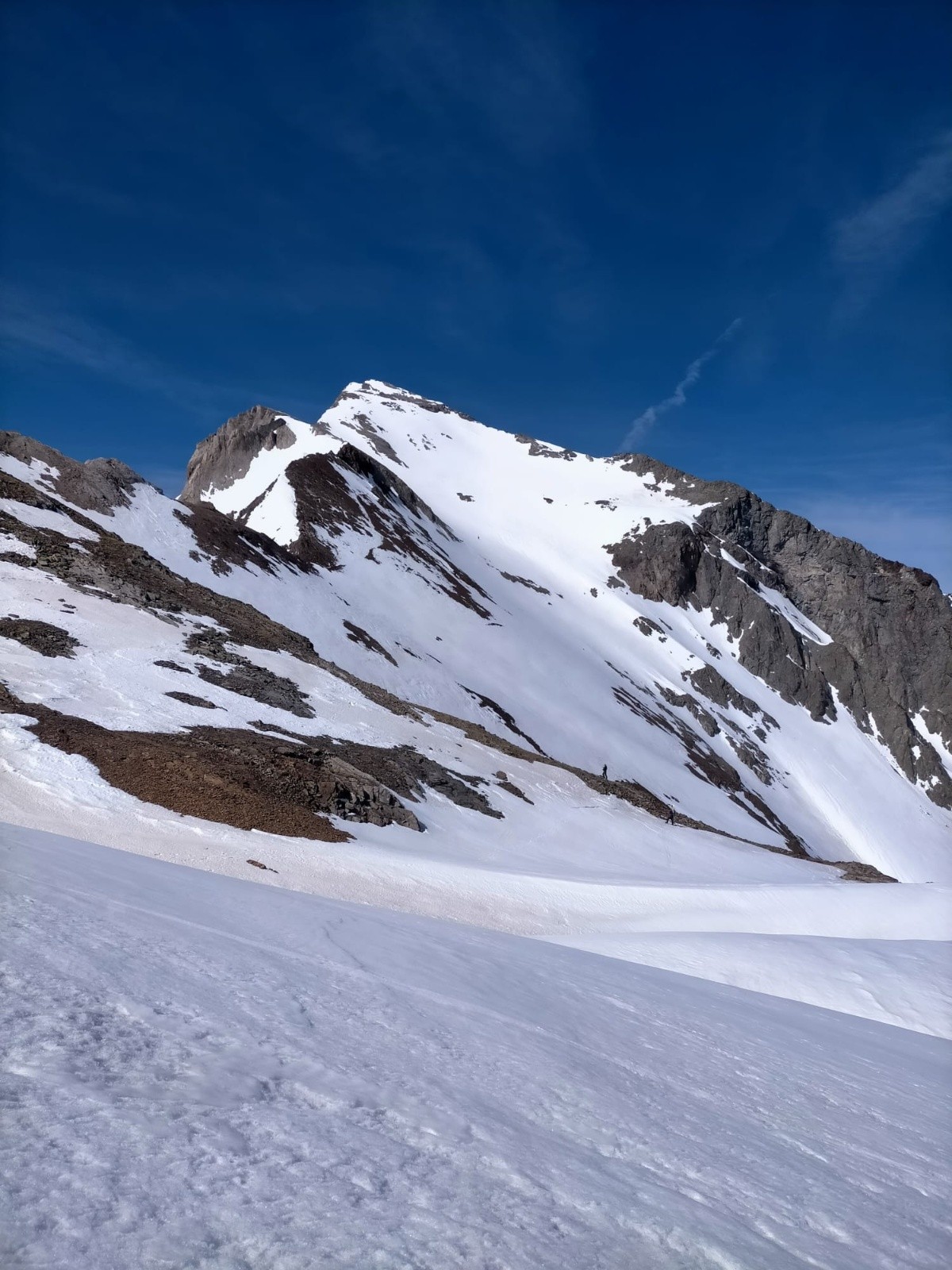 Campbiel 