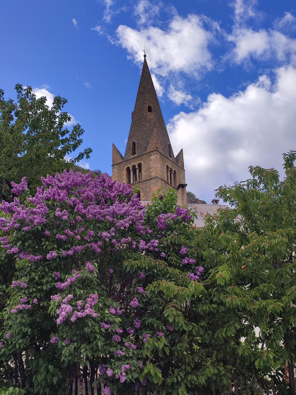 #17 Joli à Vallouise Joli à Vallouise