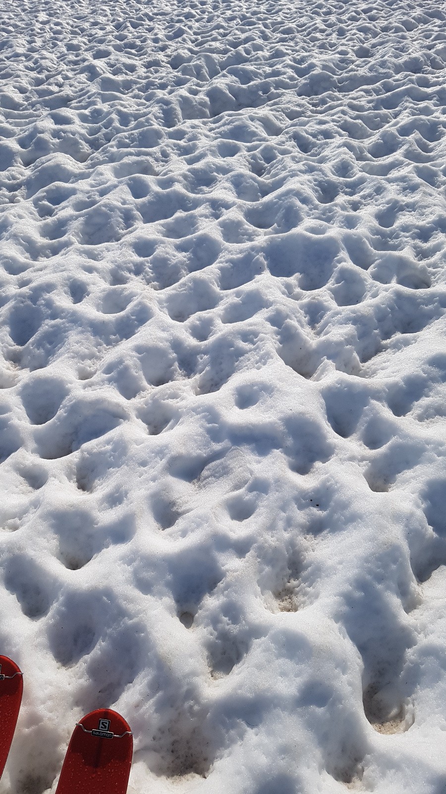Au dessus de Petit St Bernard, la veille!!!!