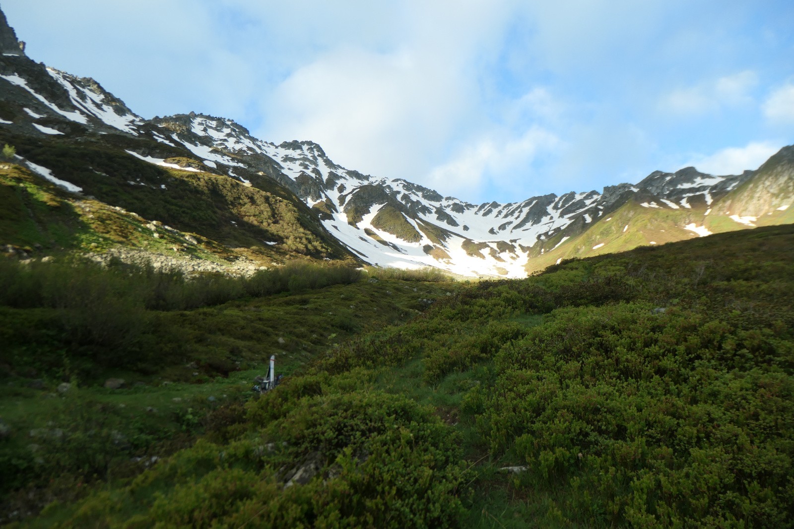 Où est Charlie ?&nbsp; 