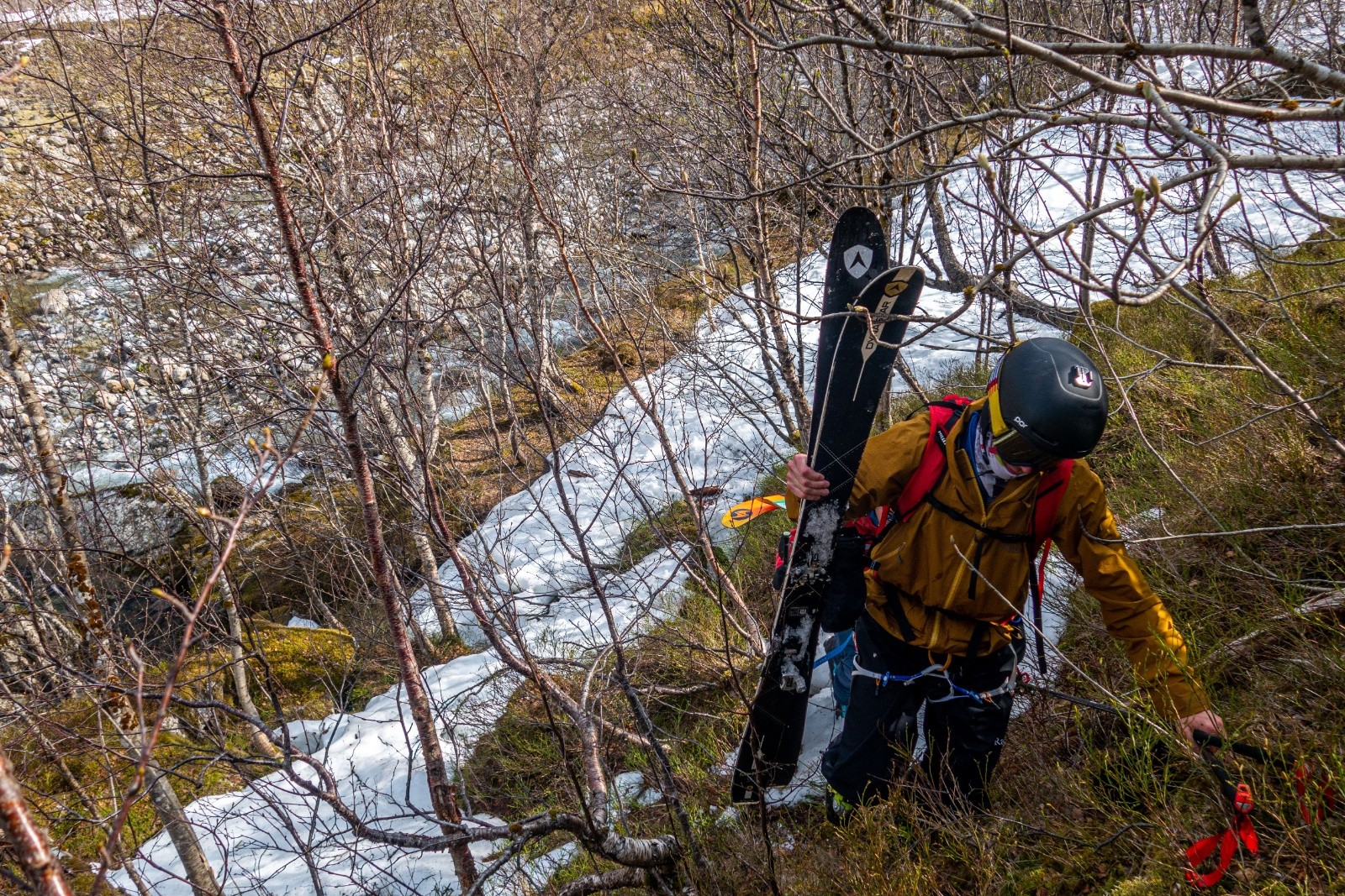 Forêt sans chemin bien sûr