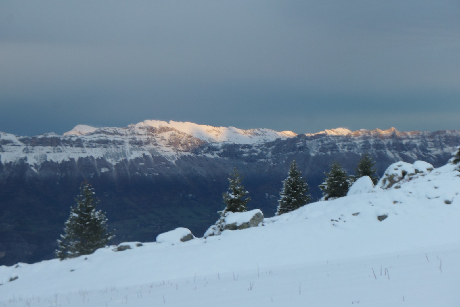 Chartreuse ensoleillée 