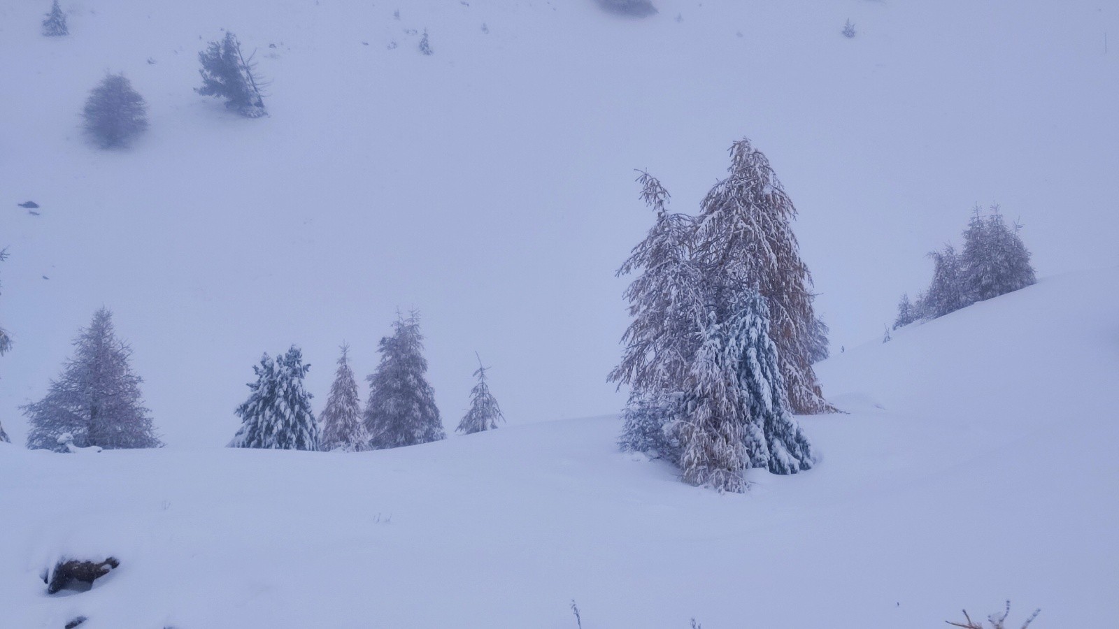 Paysage en noirs et blancs pour la première montée