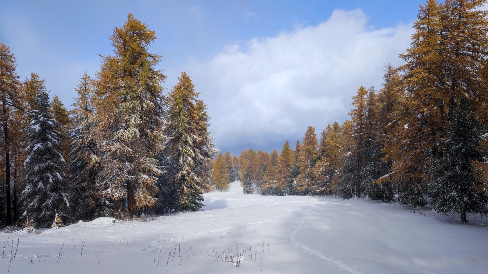 Vraie apparition du soleil