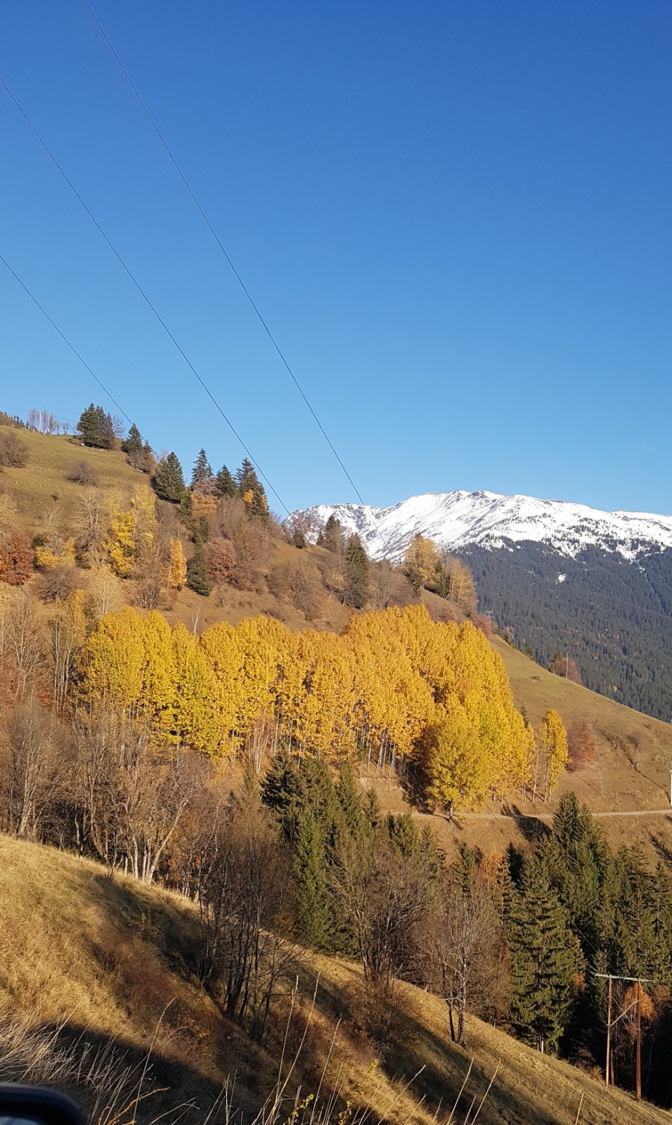 Automne et ses couleurs 