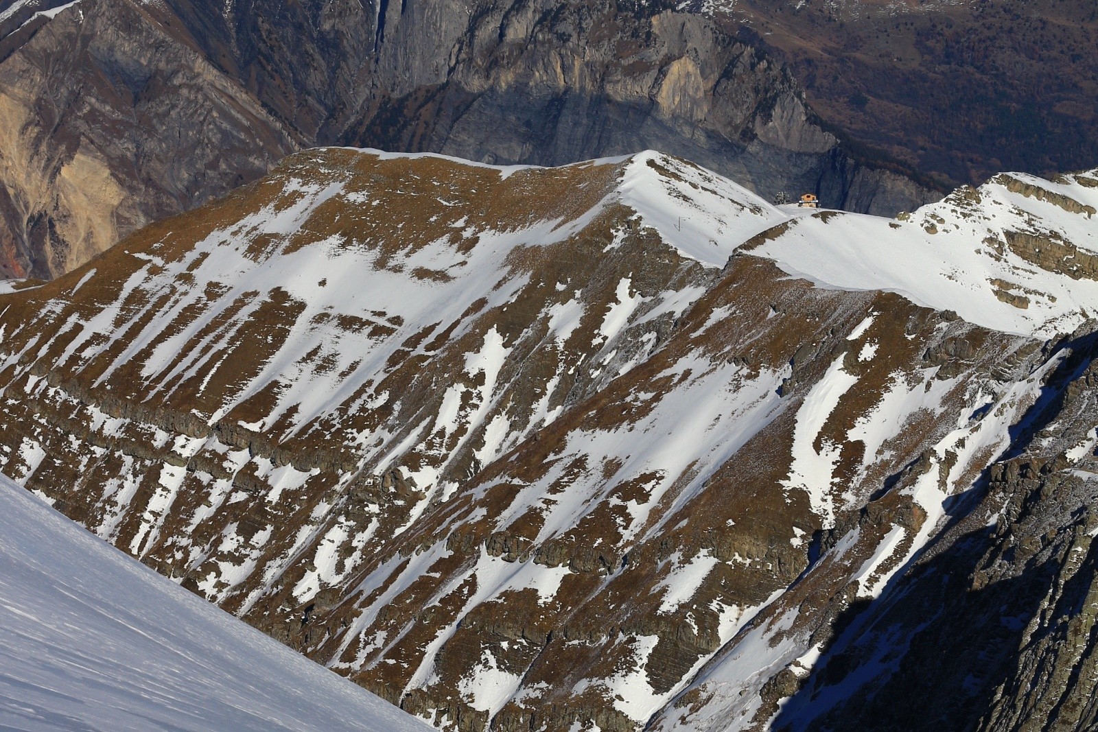 sauvage à souhait&nbsp;