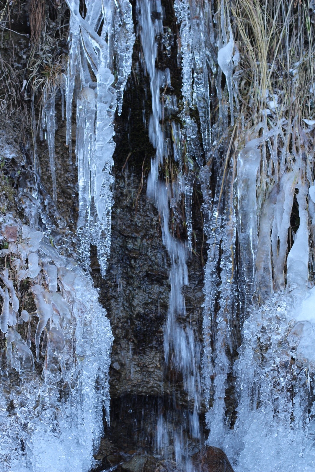 vous voulez des guirlandes ?.....