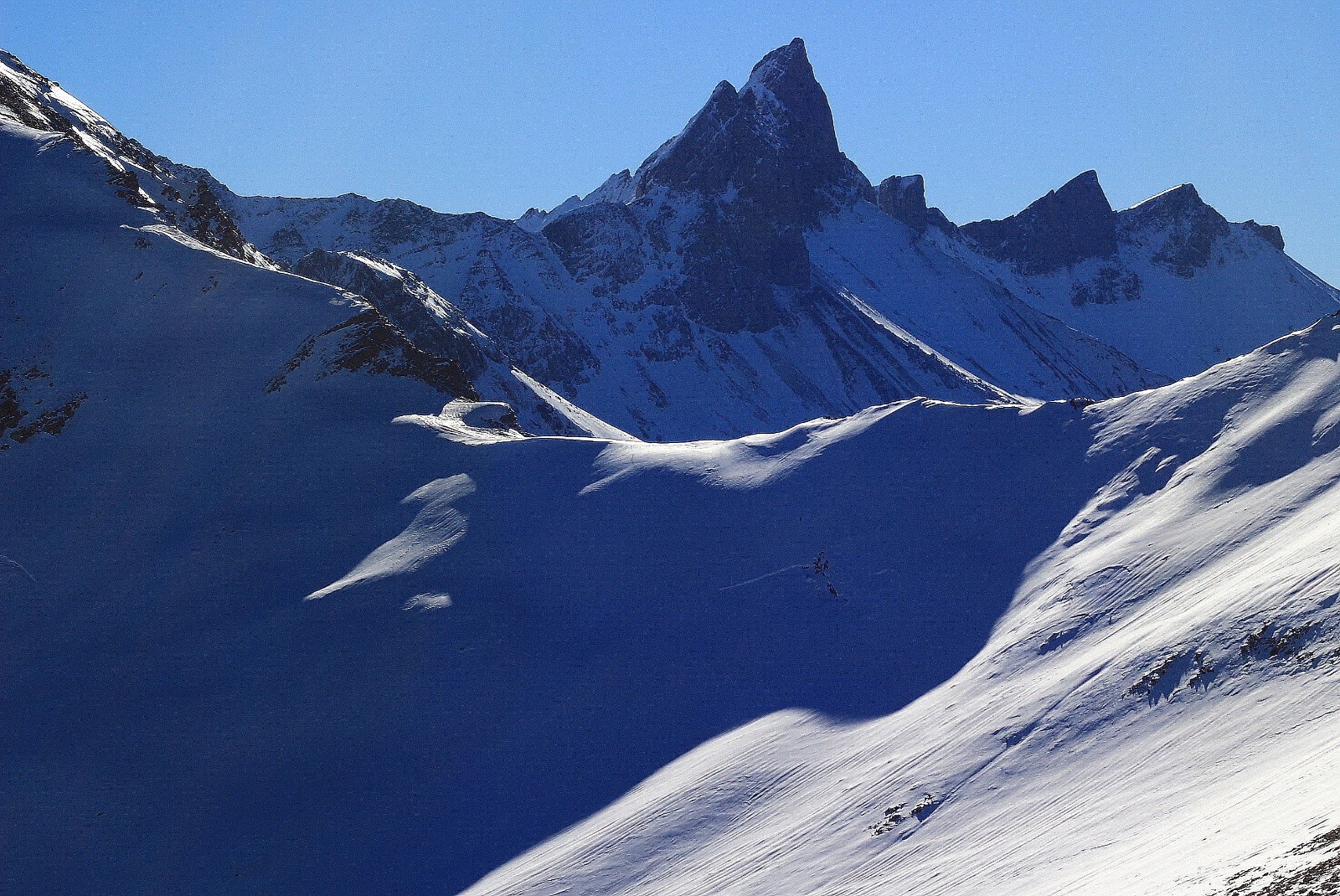&nbsp;les stars du coin