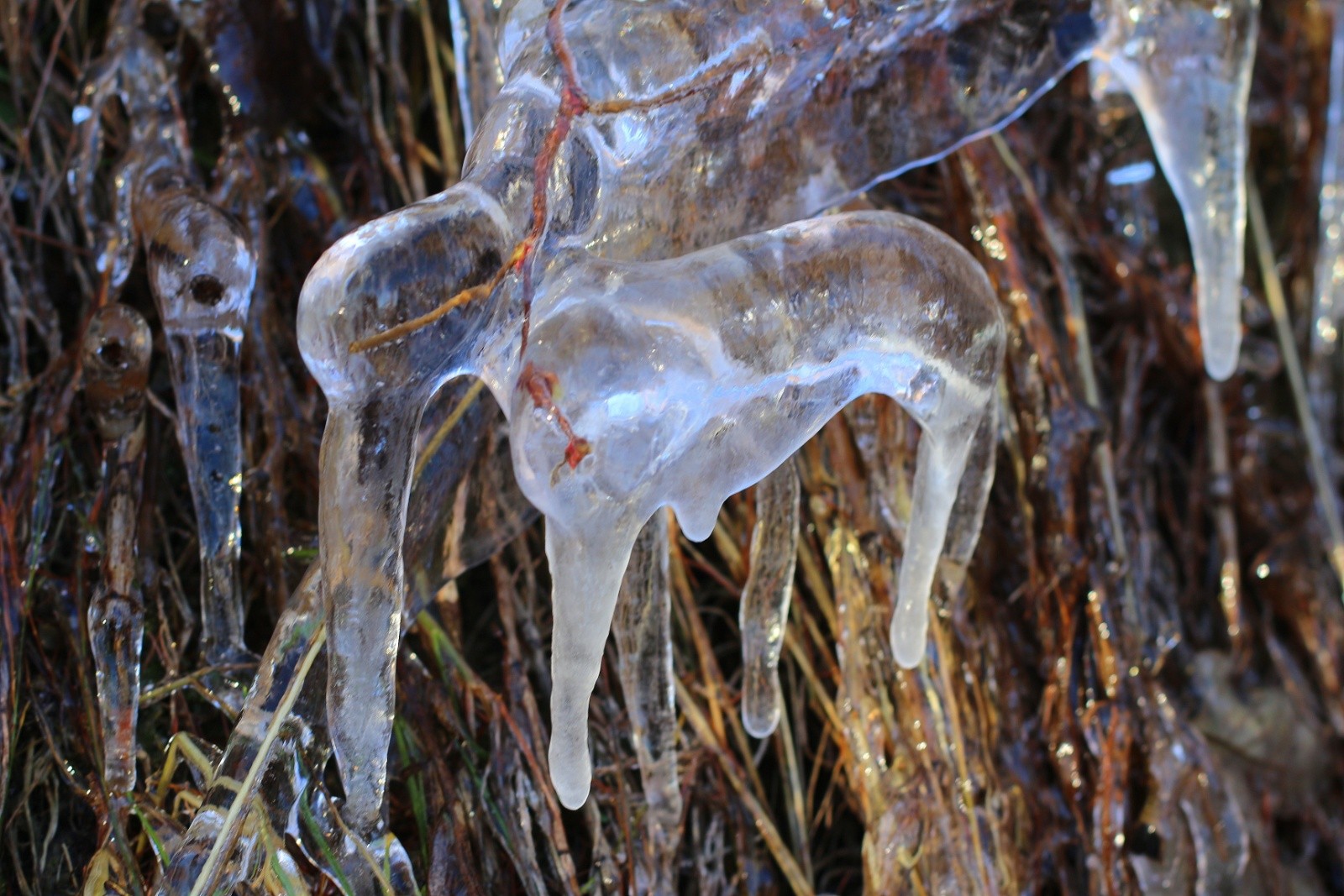 Hannibal aurait-il passé par là ?