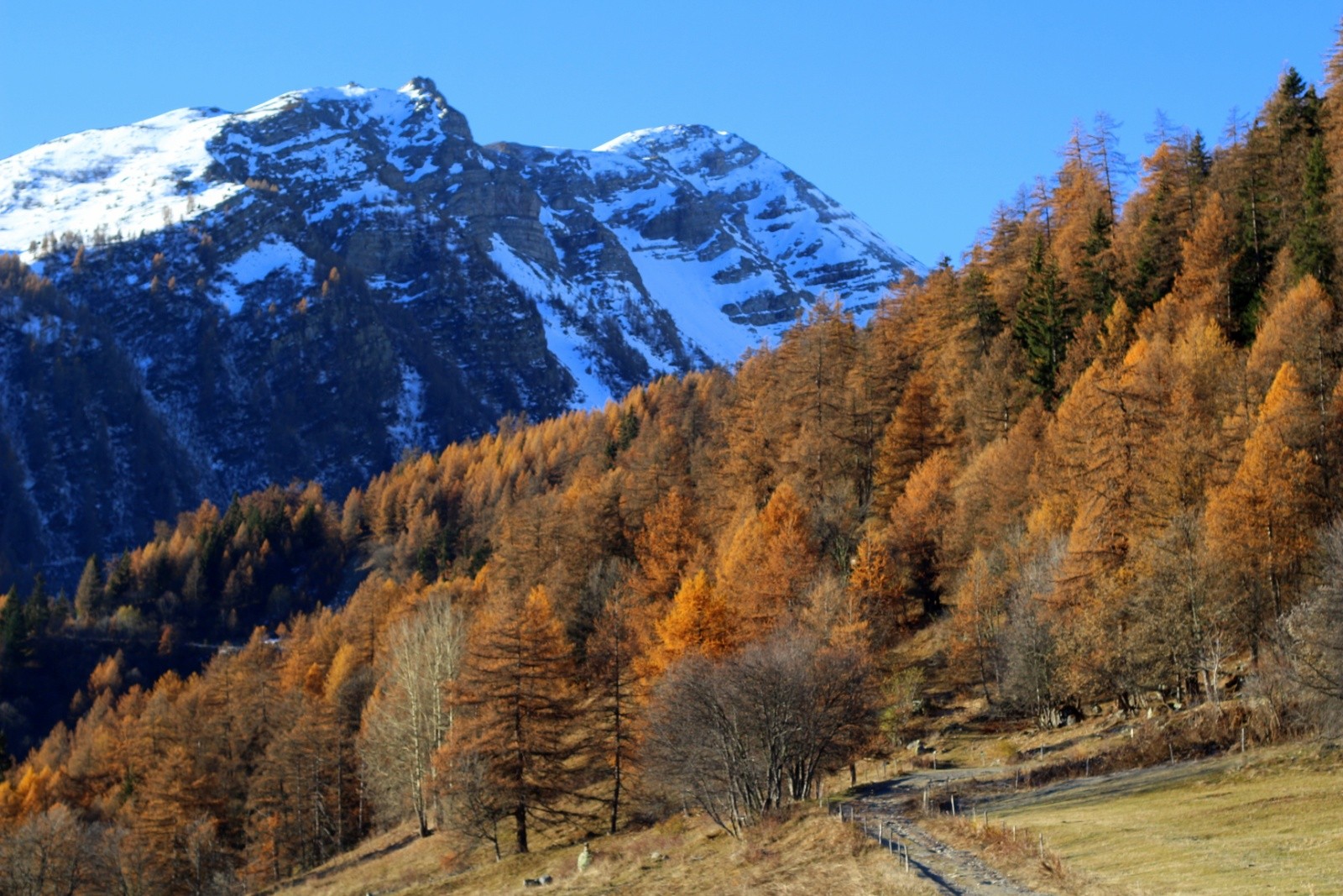 &nbsp;la fin de l'automne sonne le glas