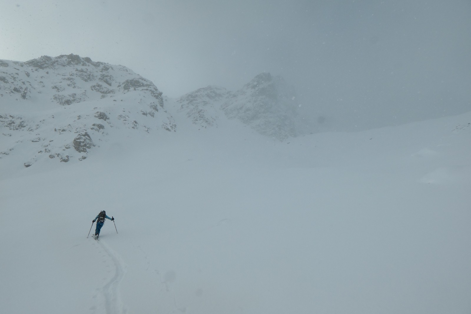 15/20cm ici de fraiche 