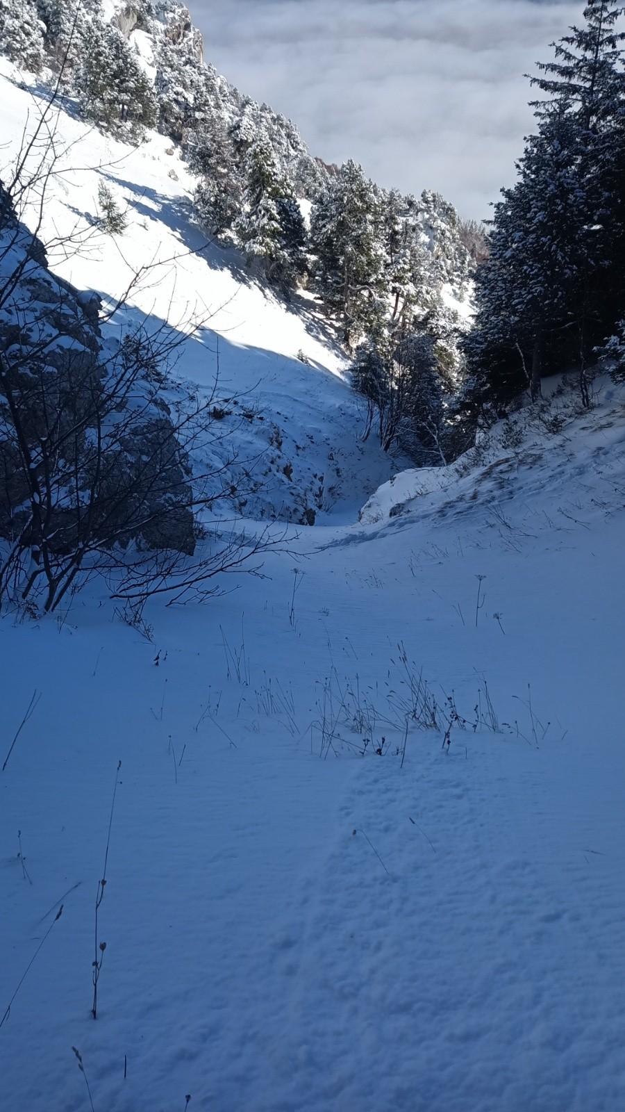 Entrée de la Virgule 