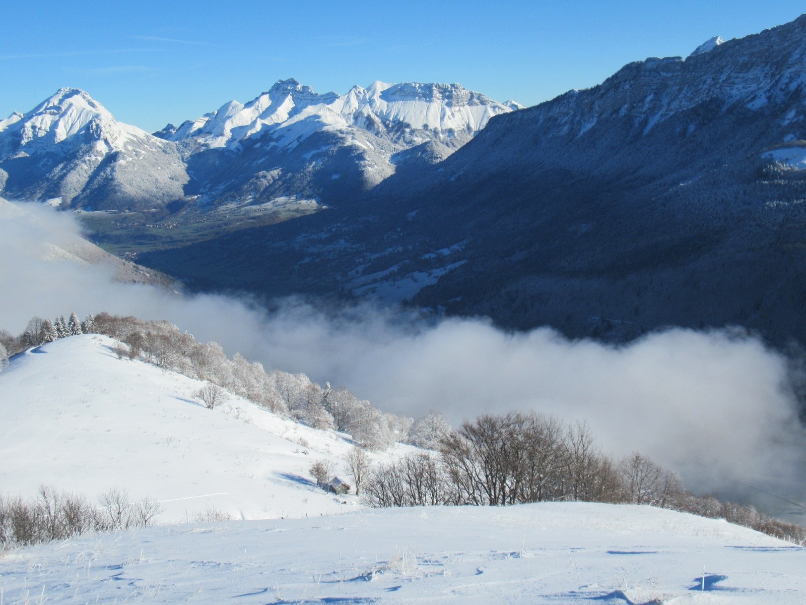 J'aime bien cette cabane, plus bas