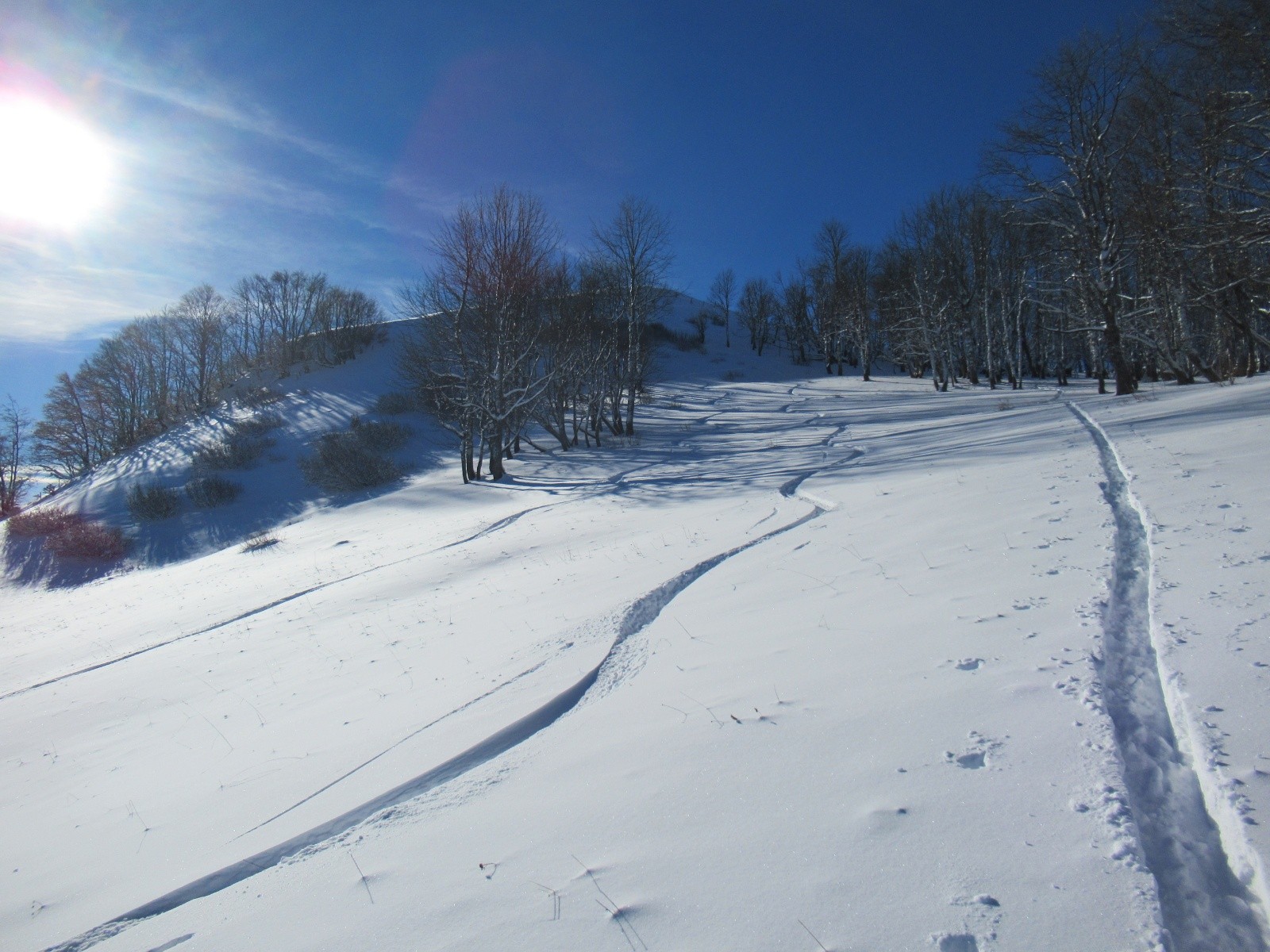 étions seulement 2 ce matin