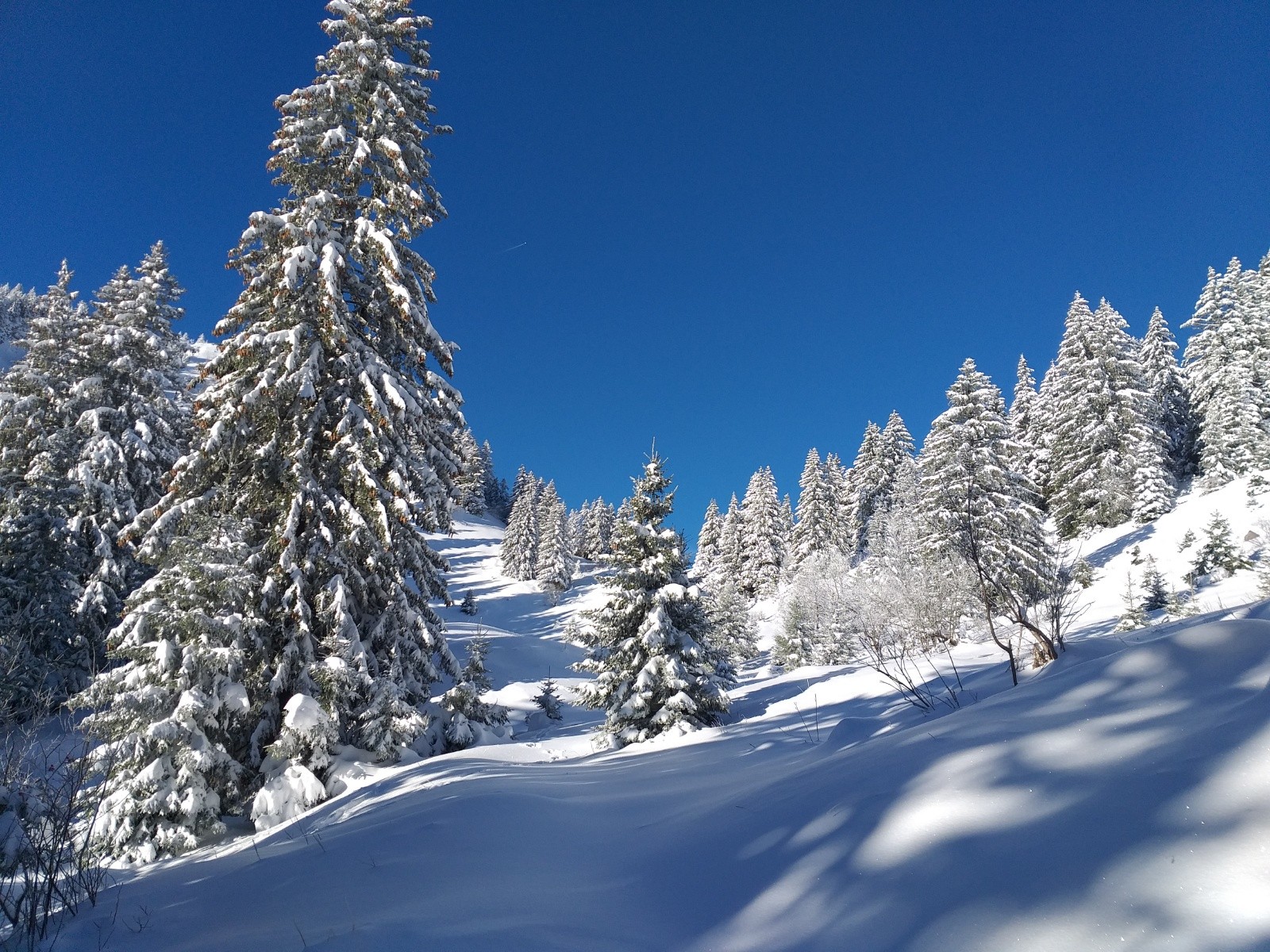 &nbsp;Montée vers le col de Cordon