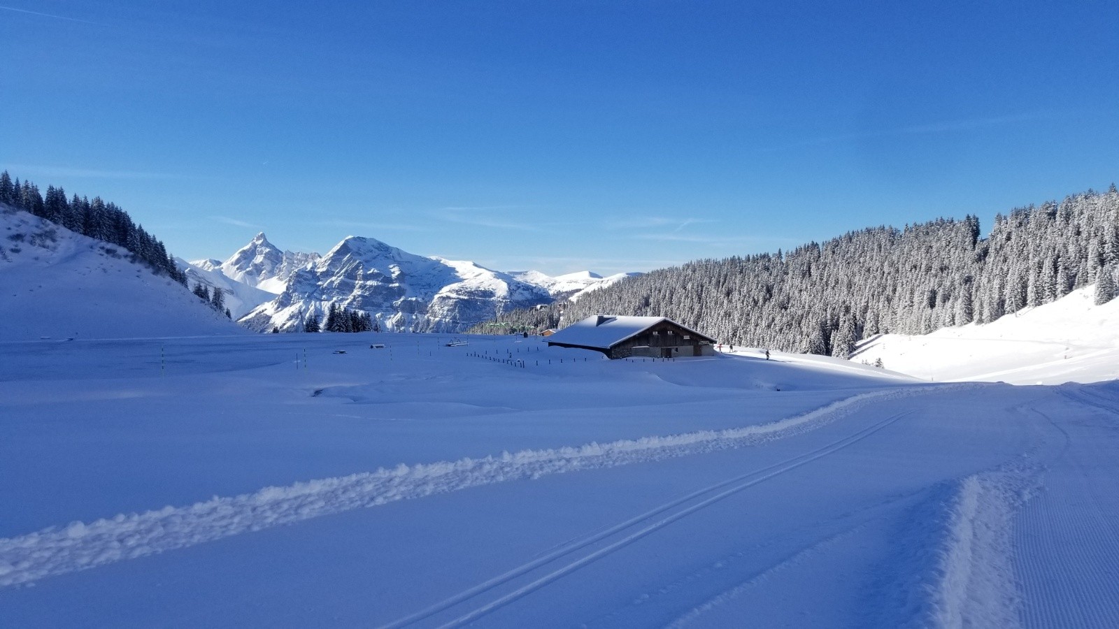 Bas de la combe de l'Airon&nbsp;