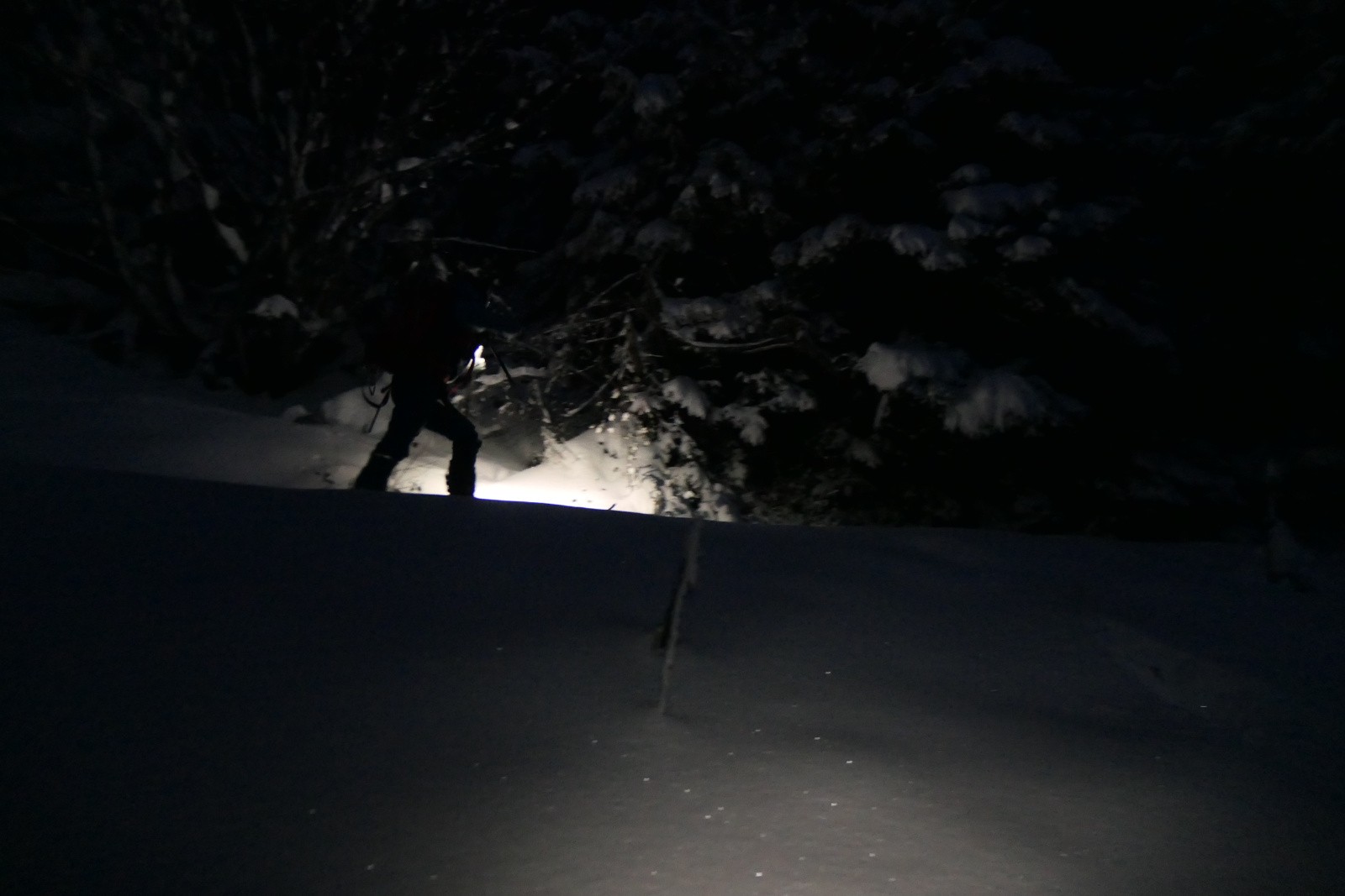 Le traçausore du jour 