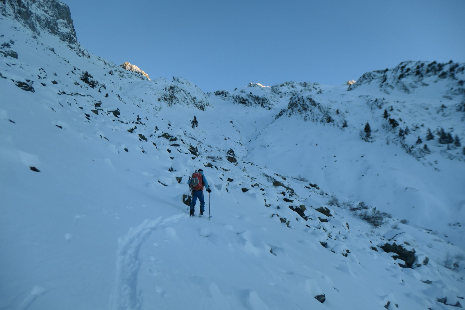 Champ de requins imminent 