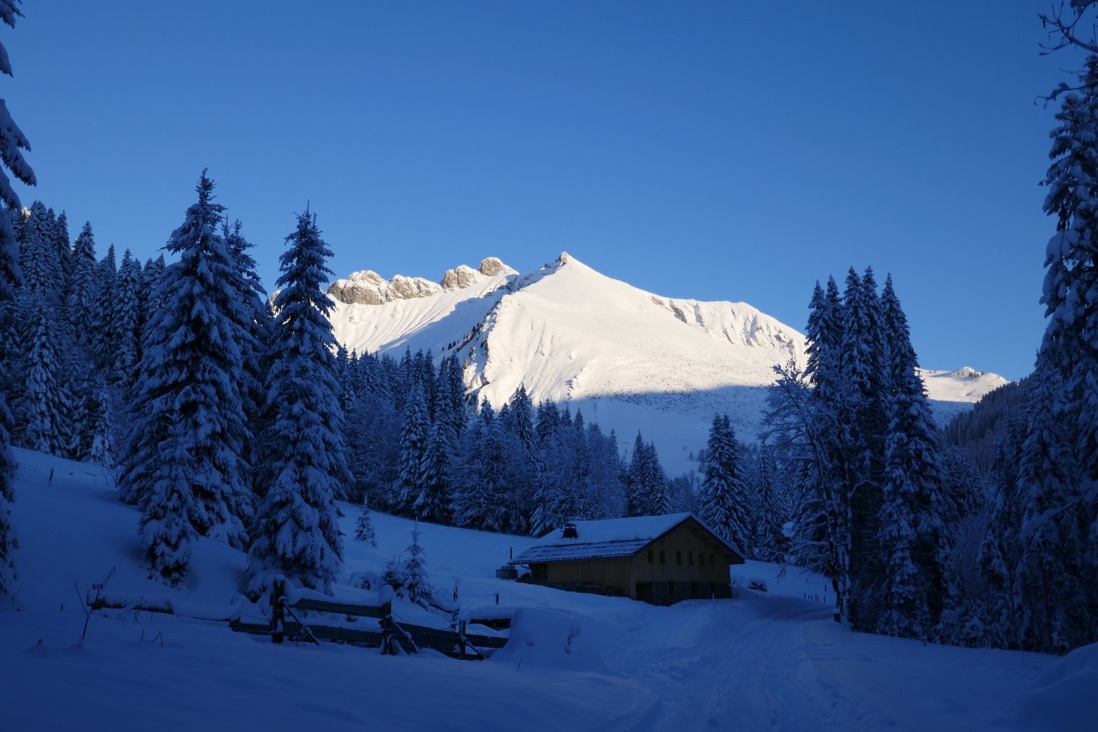 Les pentes sont vierges.