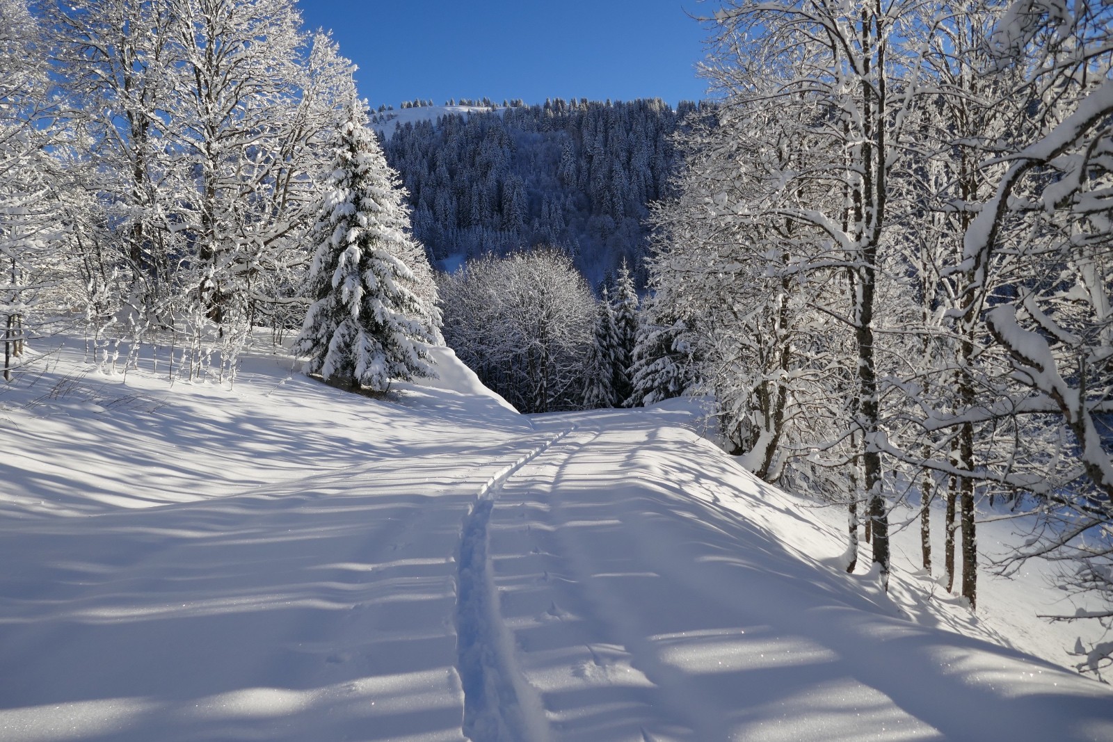 au dessus de Beauregard. 40 cm sur la route